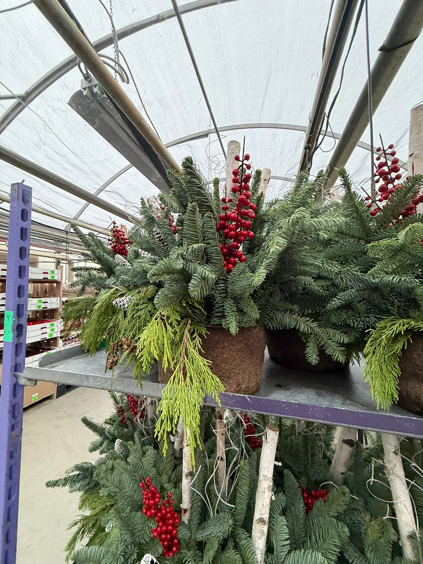 Planter, Fiber Drop in Holiday, Small Planter (Each)