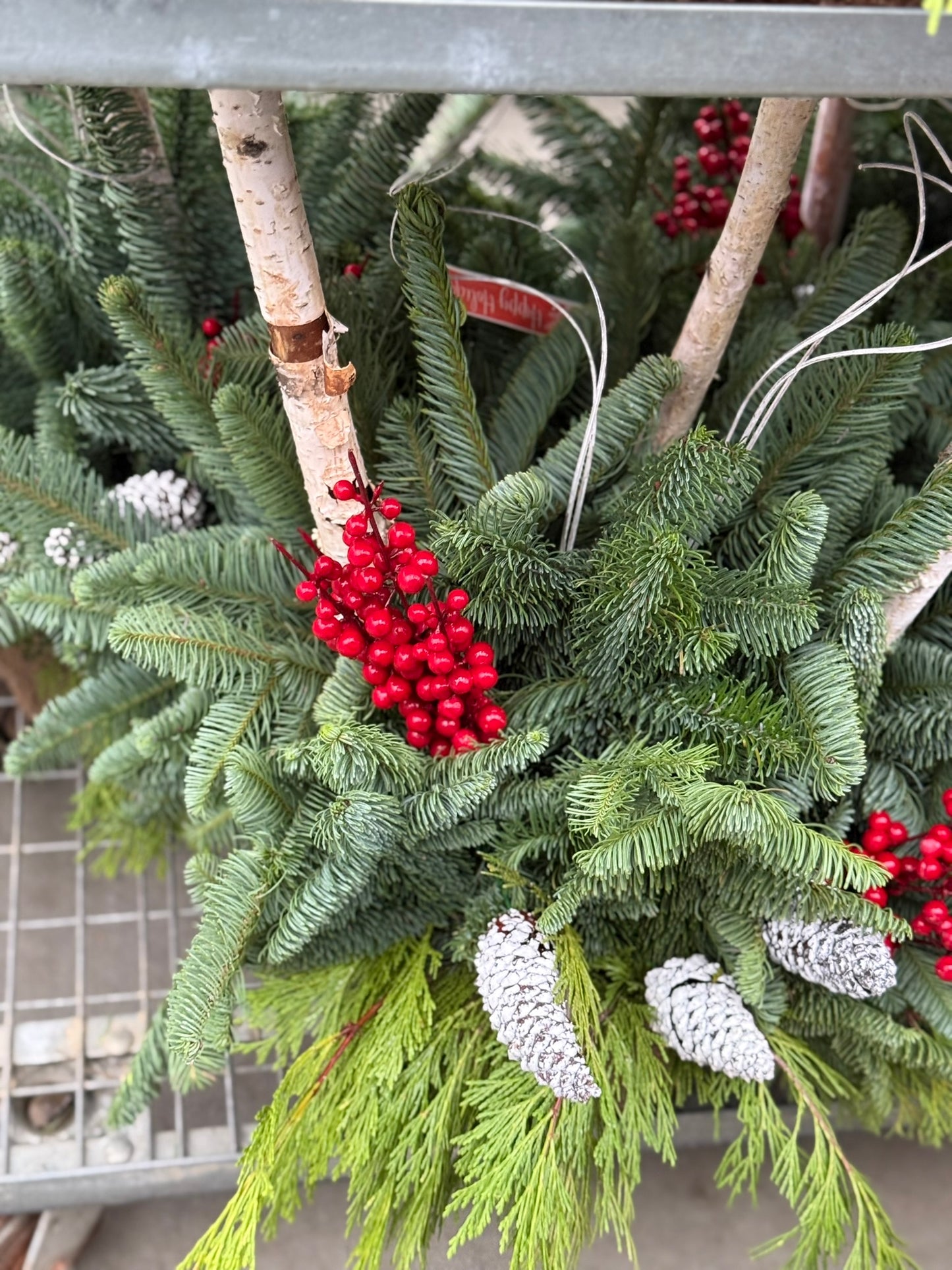 Planter, Fiber Drop in Holiday, Small Planter (Each)