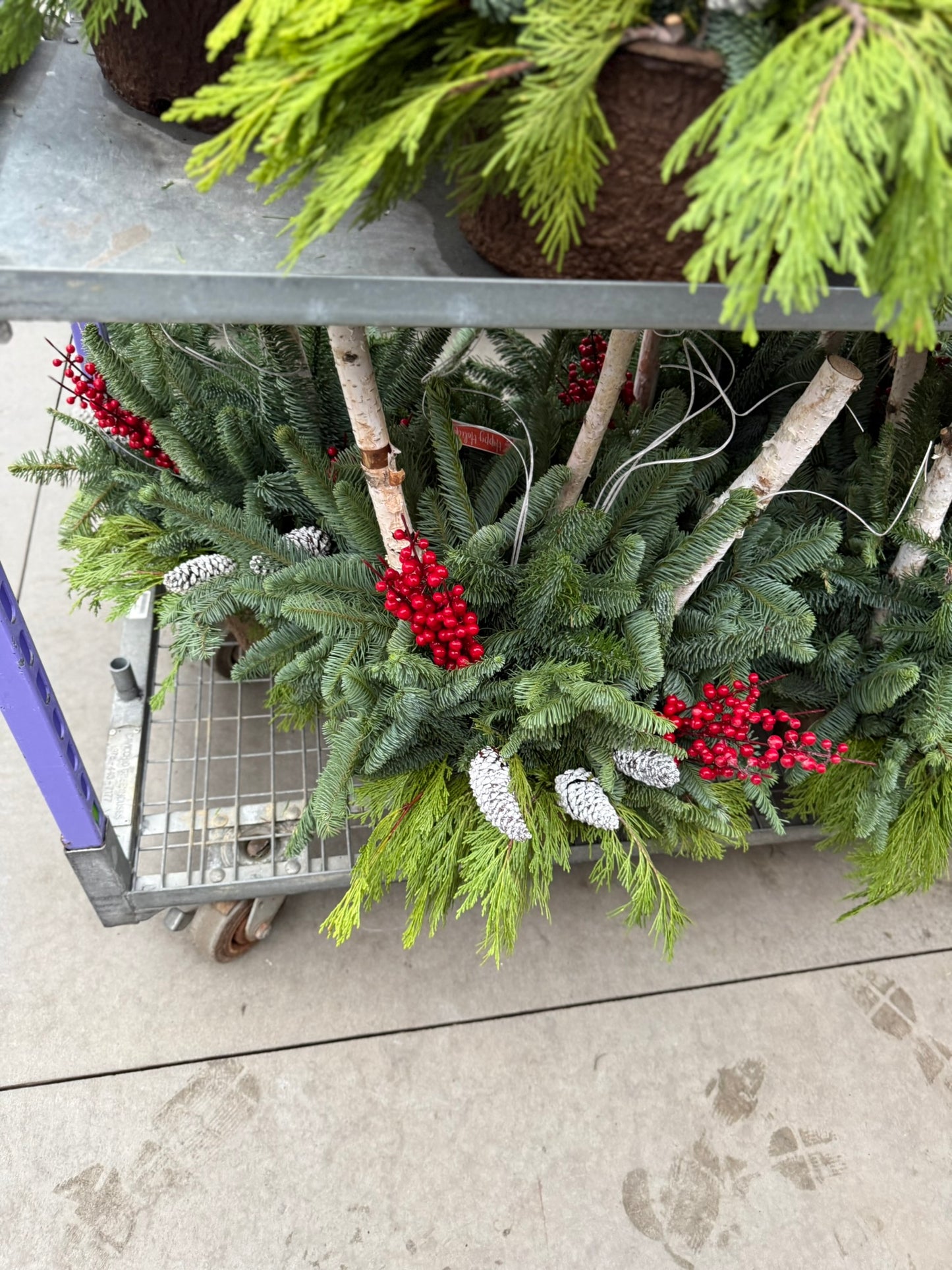 Planter, Fiber Drop in Holiday, Small Planter (Each)