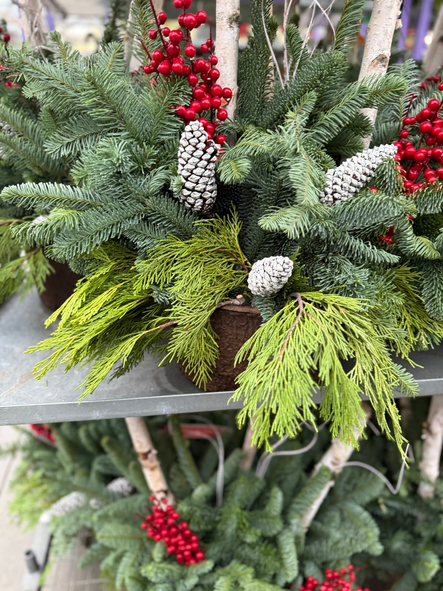 Planter, Fiber Drop in Holiday, Small Planter (Each)