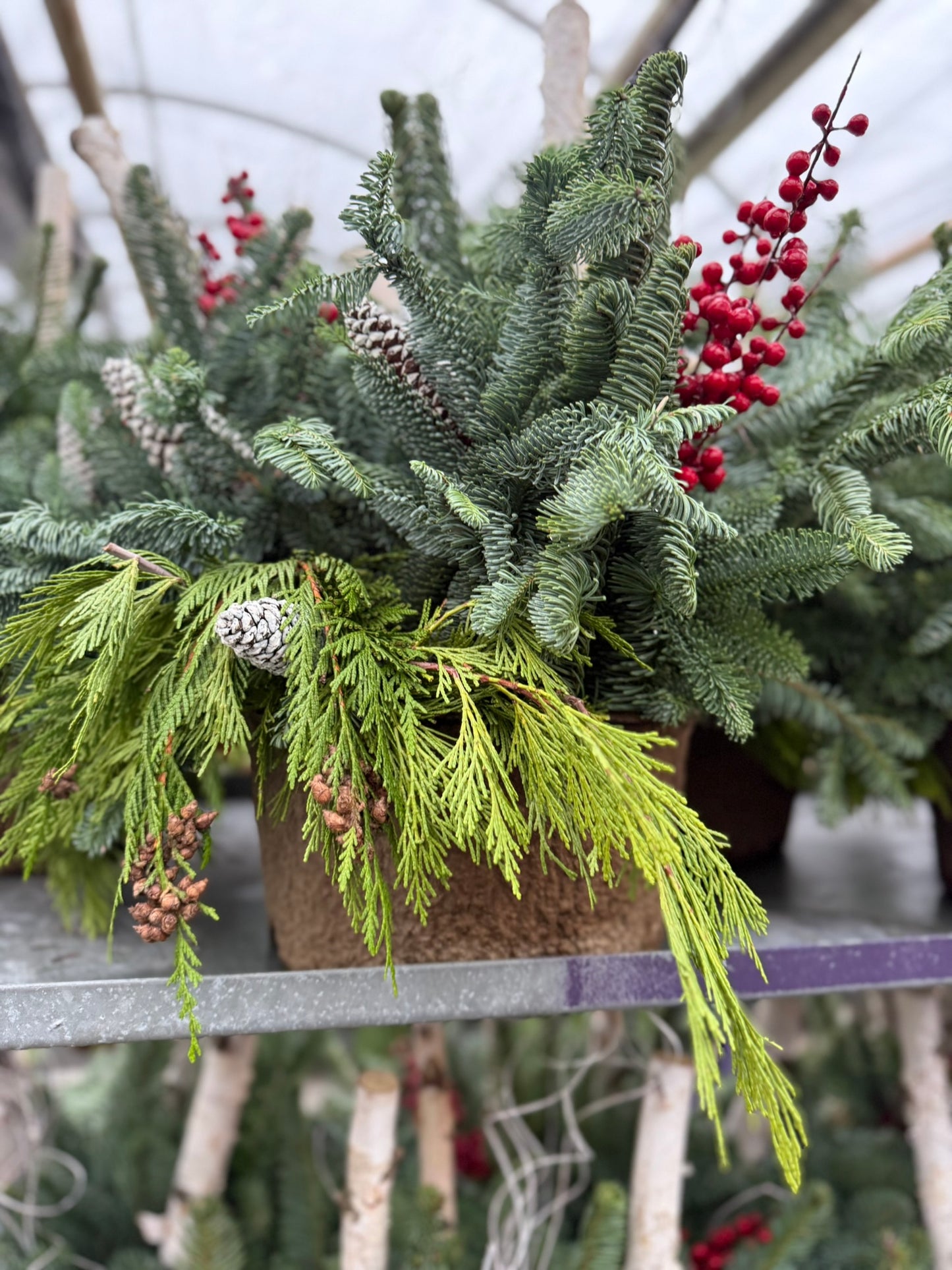 Planter, Fiber Drop in Holiday, Small Planter (Each)