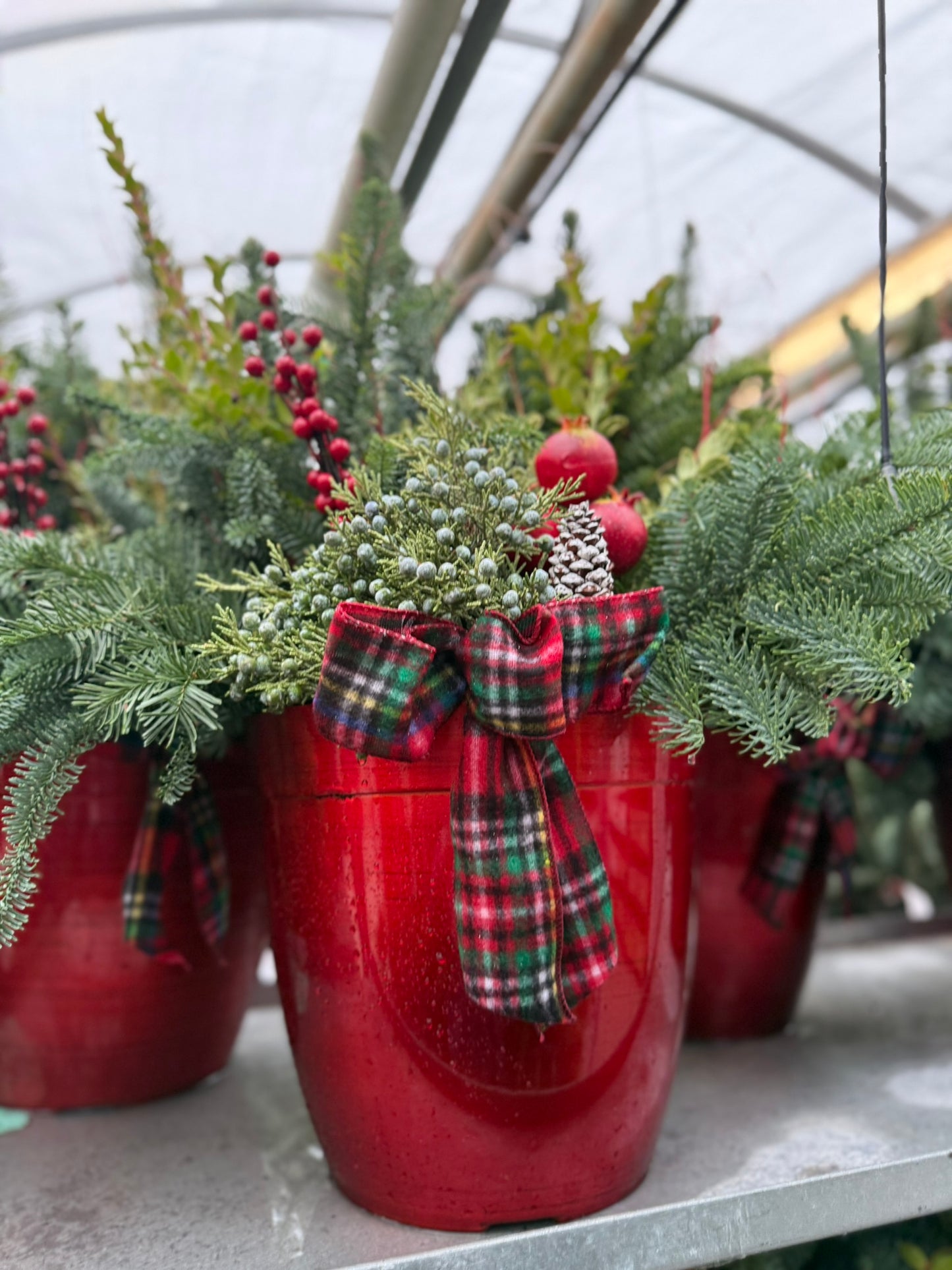 Planter, 12" Delilah Planter (Each)