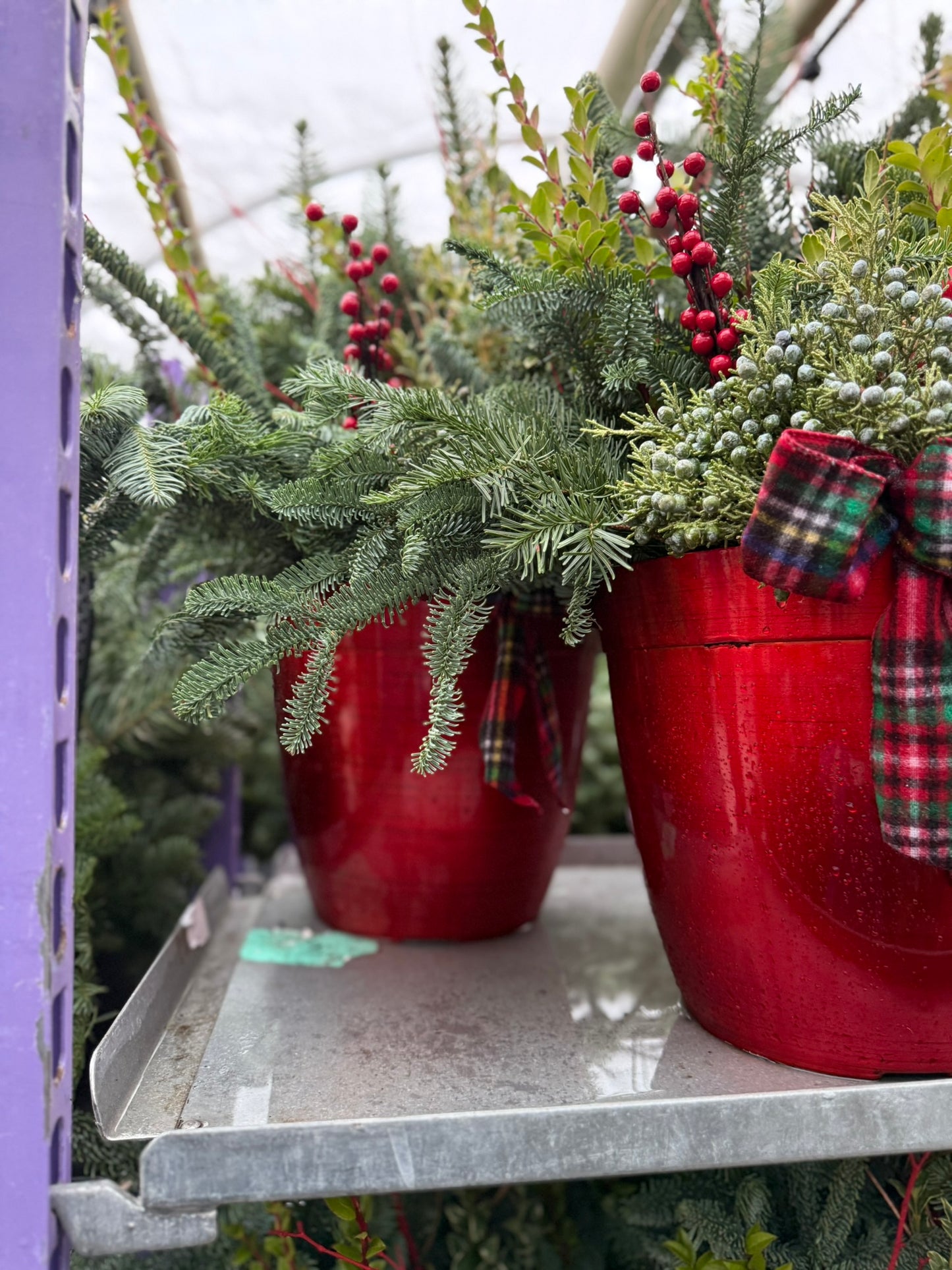 Planter, 12" Delilah Planter (Each)