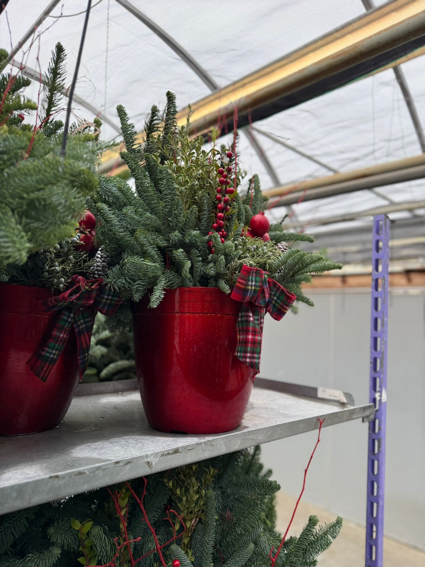 Planter, 12" Delilah Planter (Each)