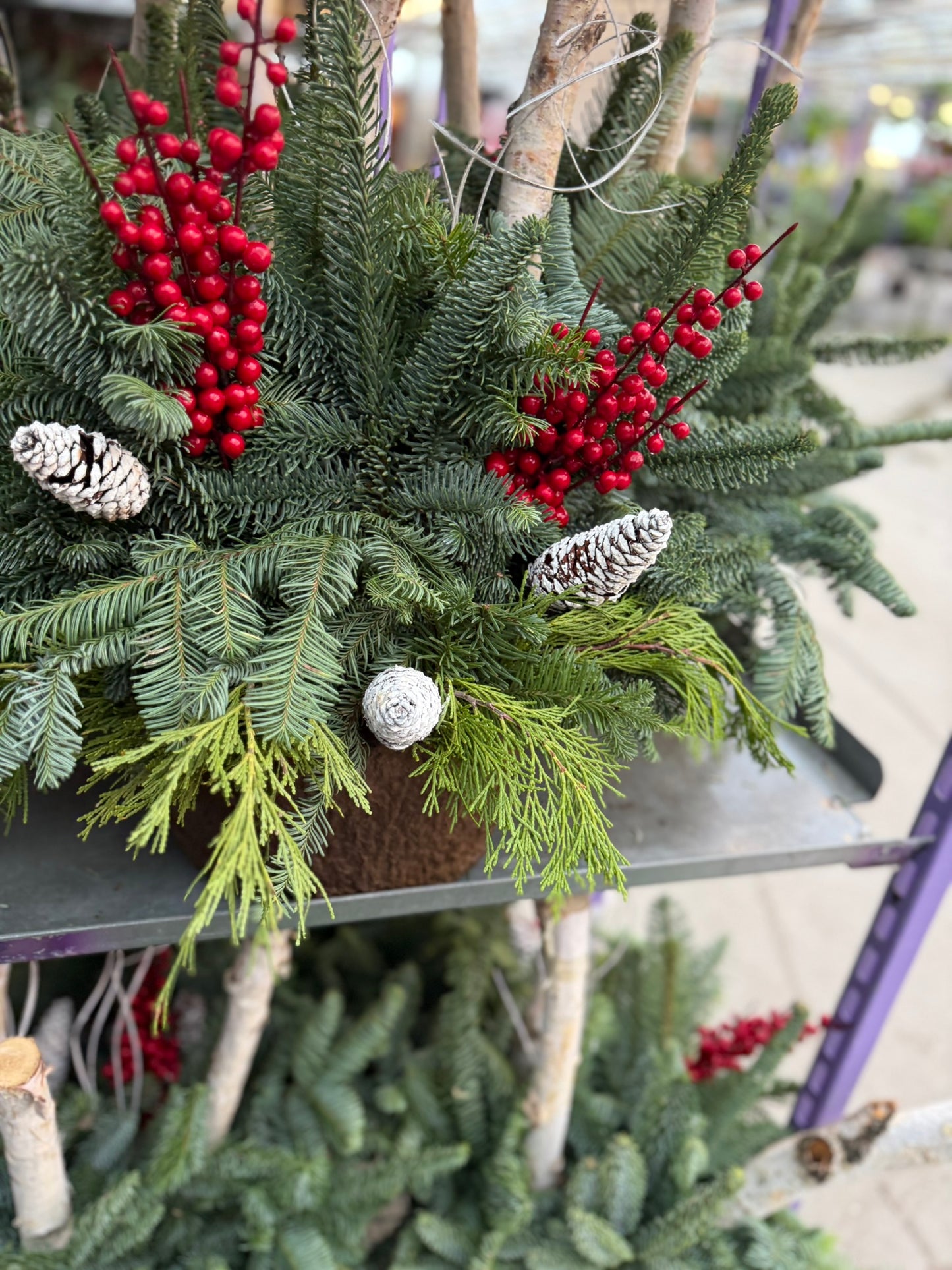 Planter, Fiber Drop in Holiday, Small Planter (Each)