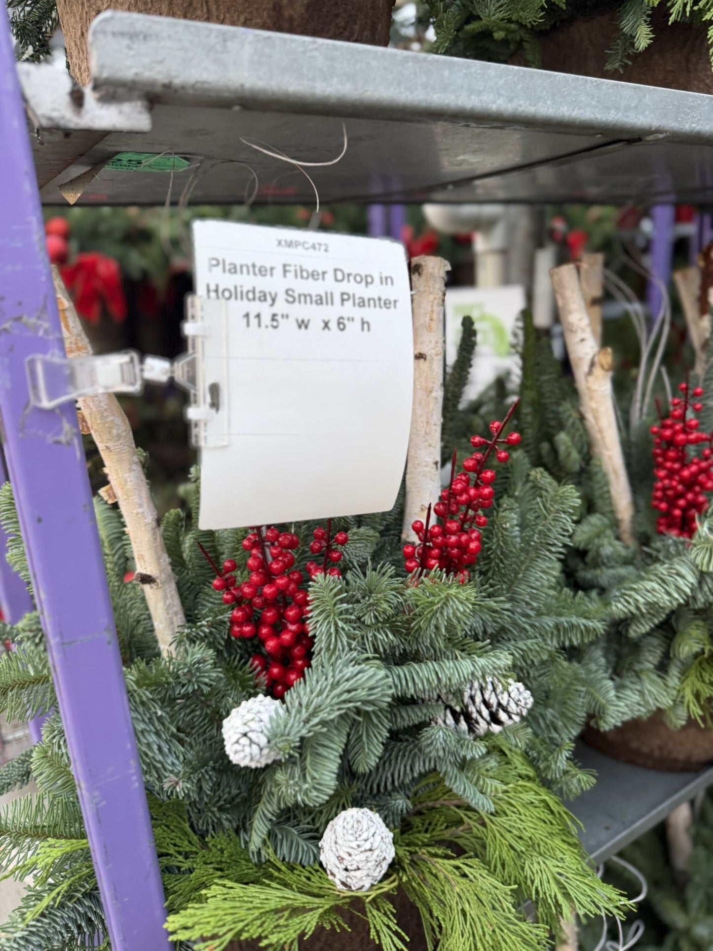 Planter, Fiber Drop in Holiday, Small Planter (Each)