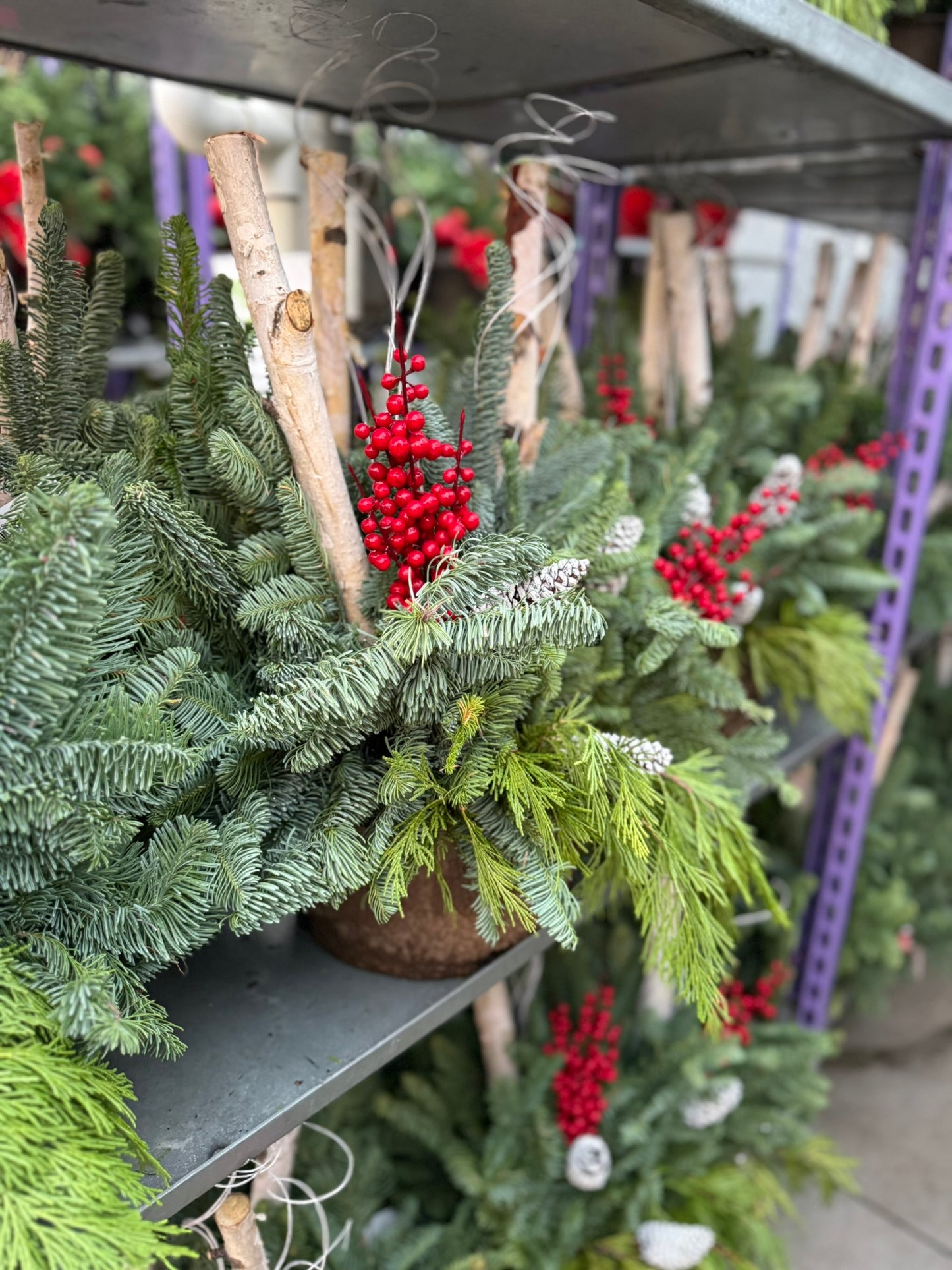 Planter, Fiber Drop in Holiday, Small Planter (Each)