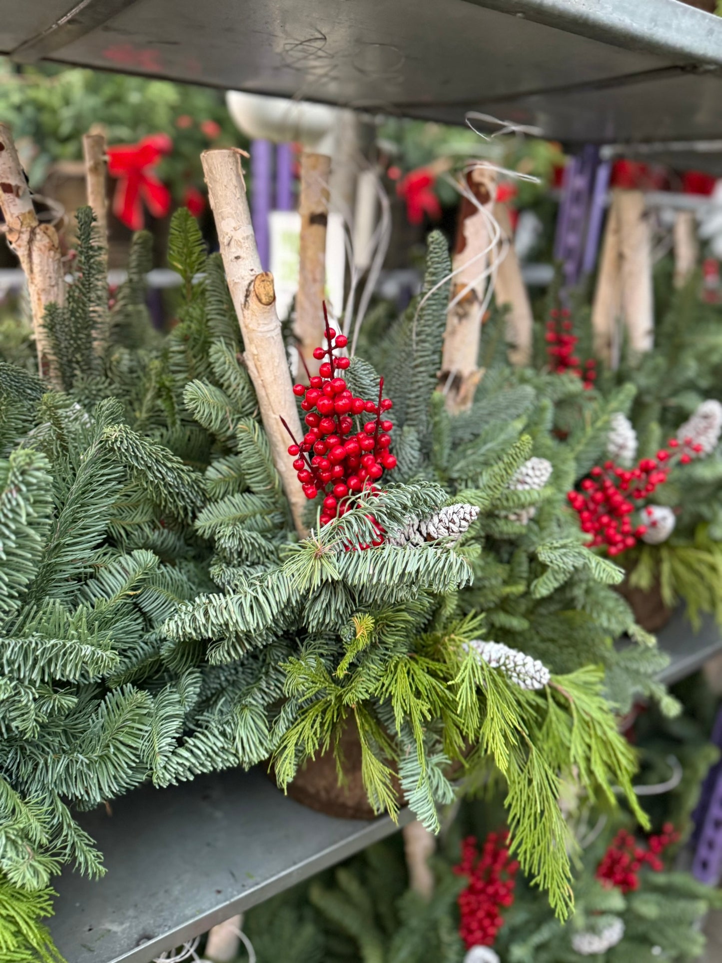 Planter, Fiber Drop in Holiday, Small Planter (Each)