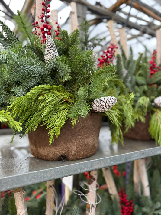 Planter, Fiber Drop in Holiday, Small Planter (Each)