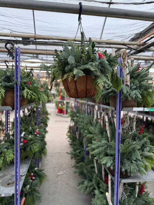 Planter, 12" Coco Hanging Basket 12" Hanging Basket (Each)