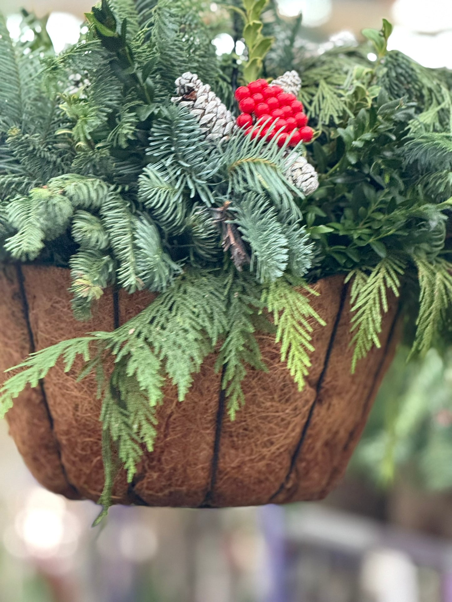 Planter, 12" Coco Hanging Basket 12" Hanging Basket (Each)