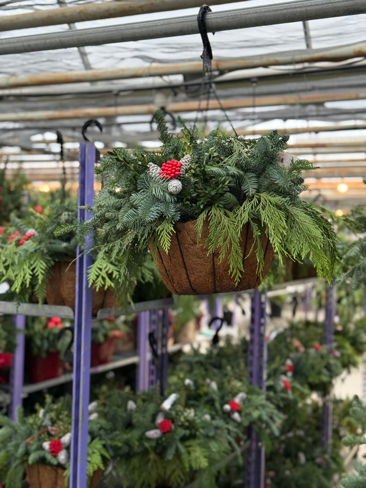 Planter, 12" Coco Hanging Basket 12" Hanging Basket (Each)