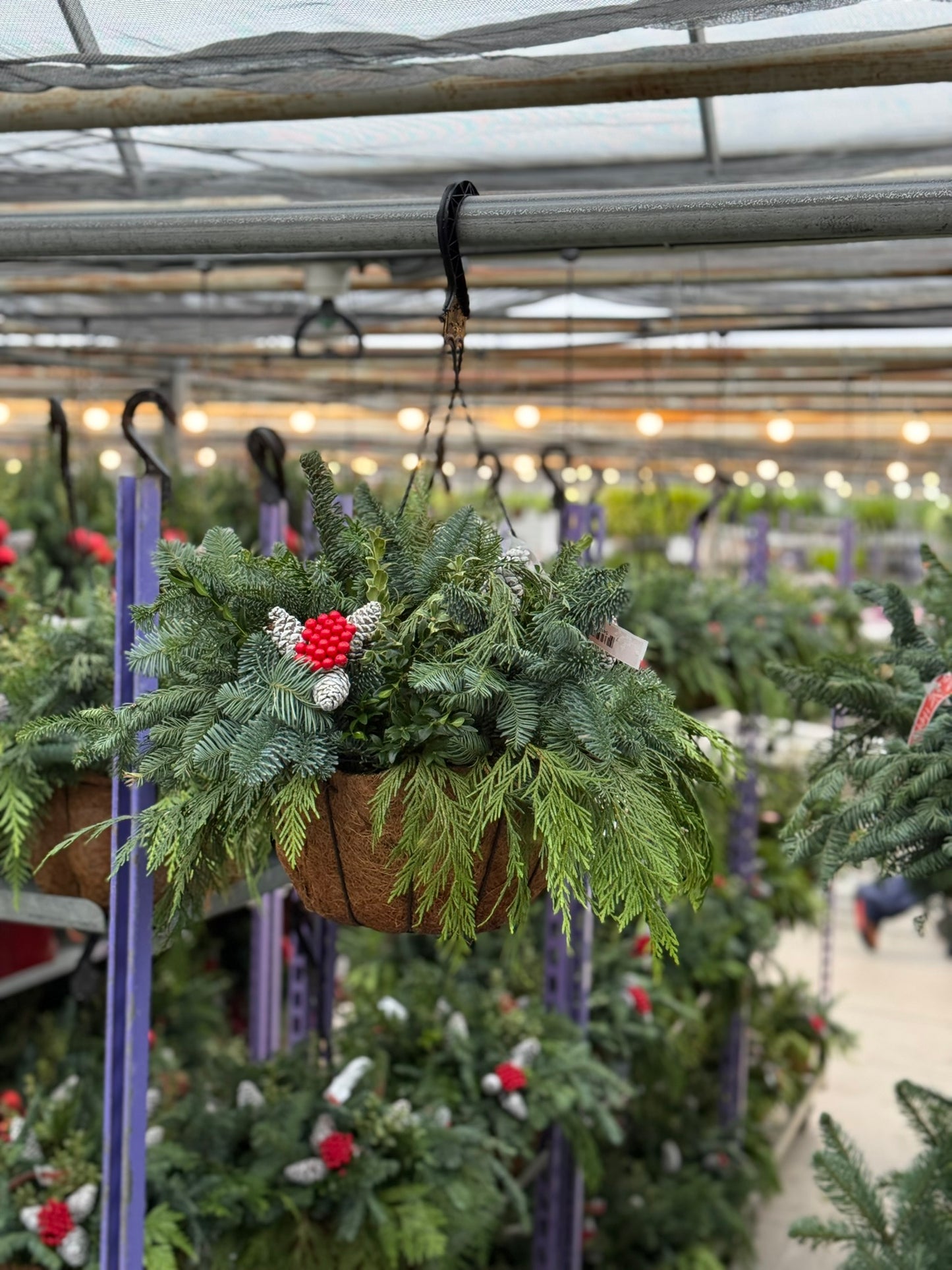 Planter, 12" Coco Hanging Basket 12" Hanging Basket (Each)