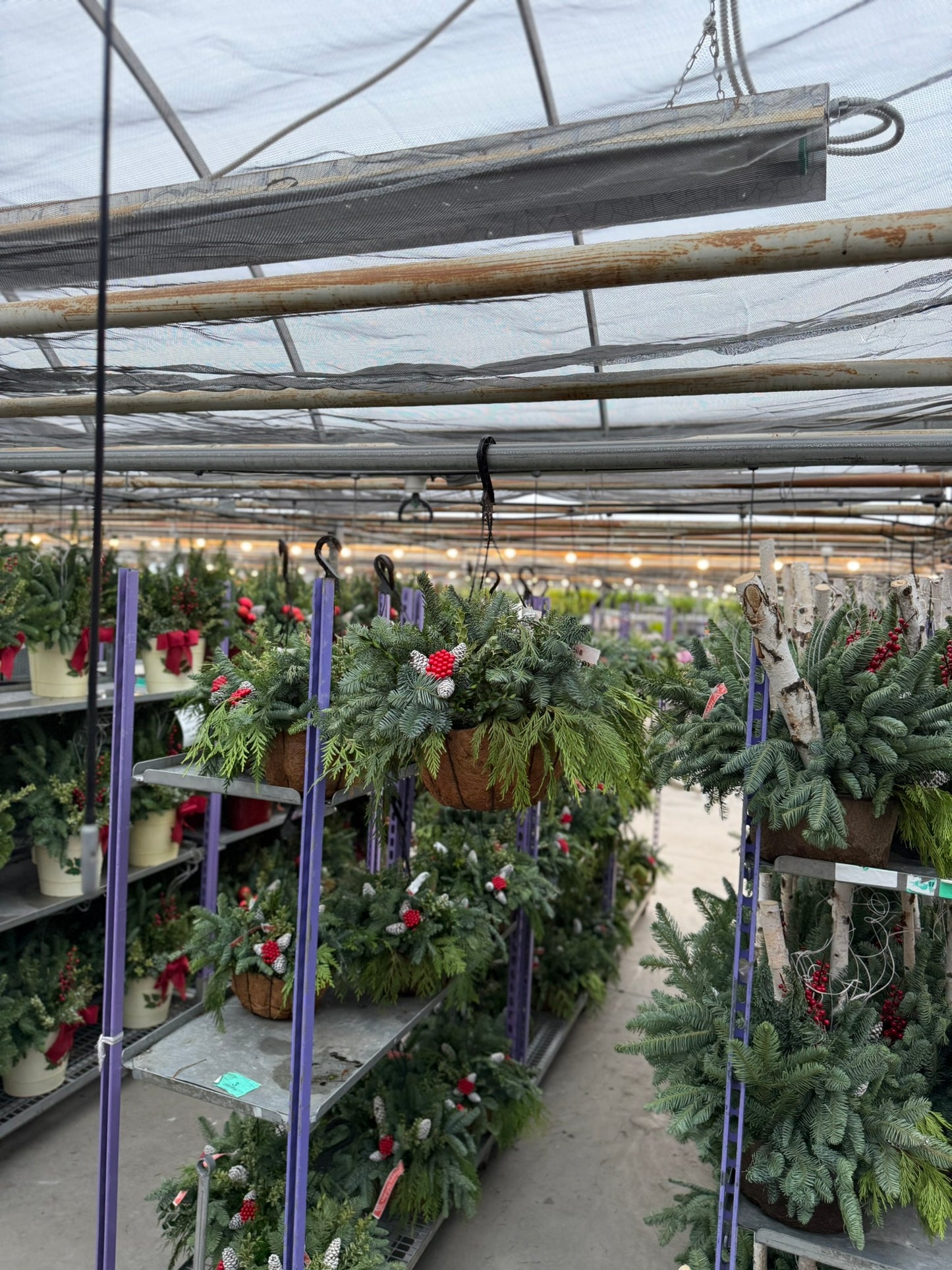 Planter, 12" Coco Hanging Basket 12" Hanging Basket (Each)