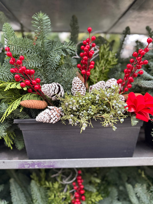 Planter, 15" Leonardo Window Box Window Box (Each)