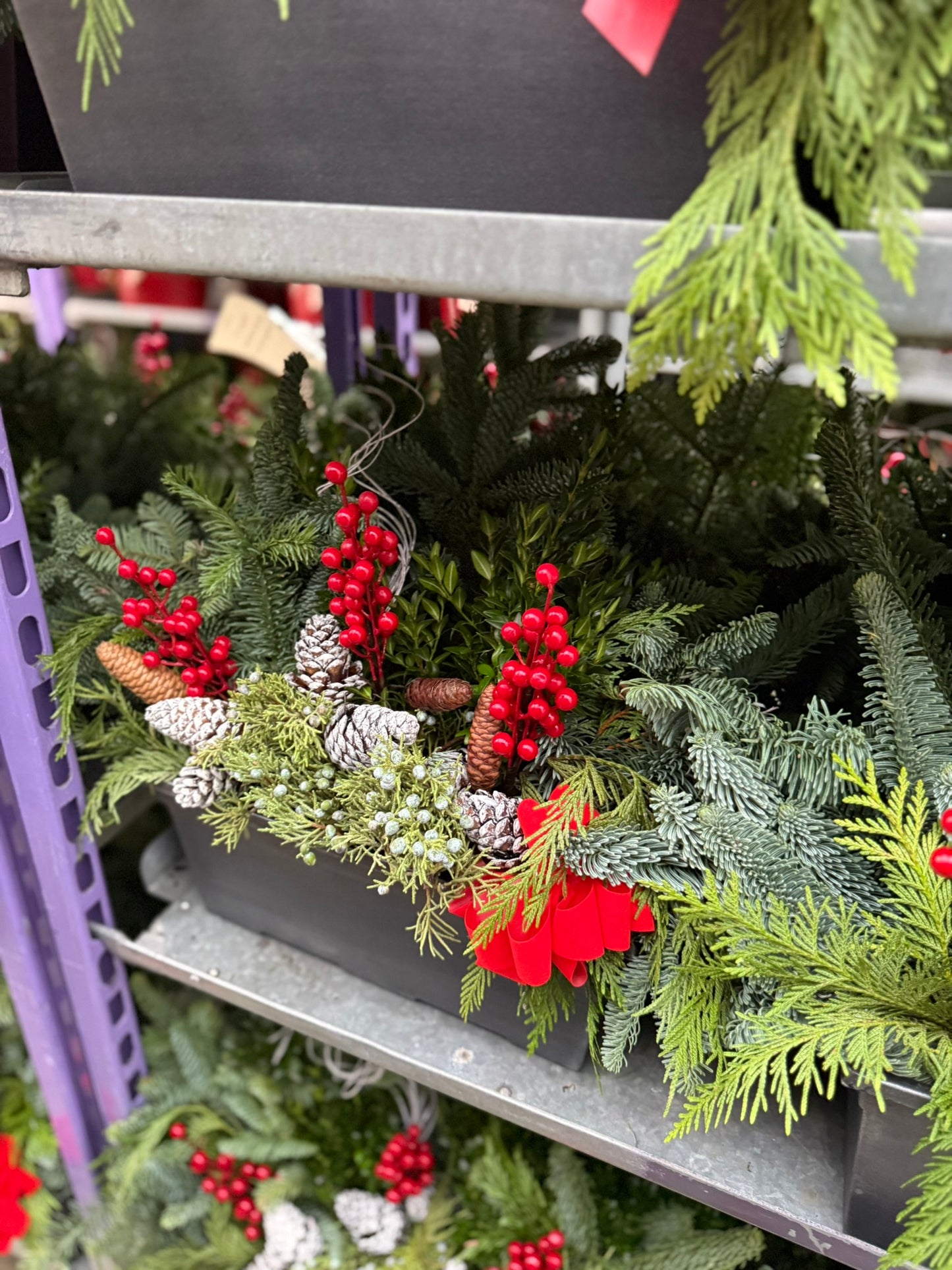 Planter, 15" Leonardo Window Box Window Box (Each)