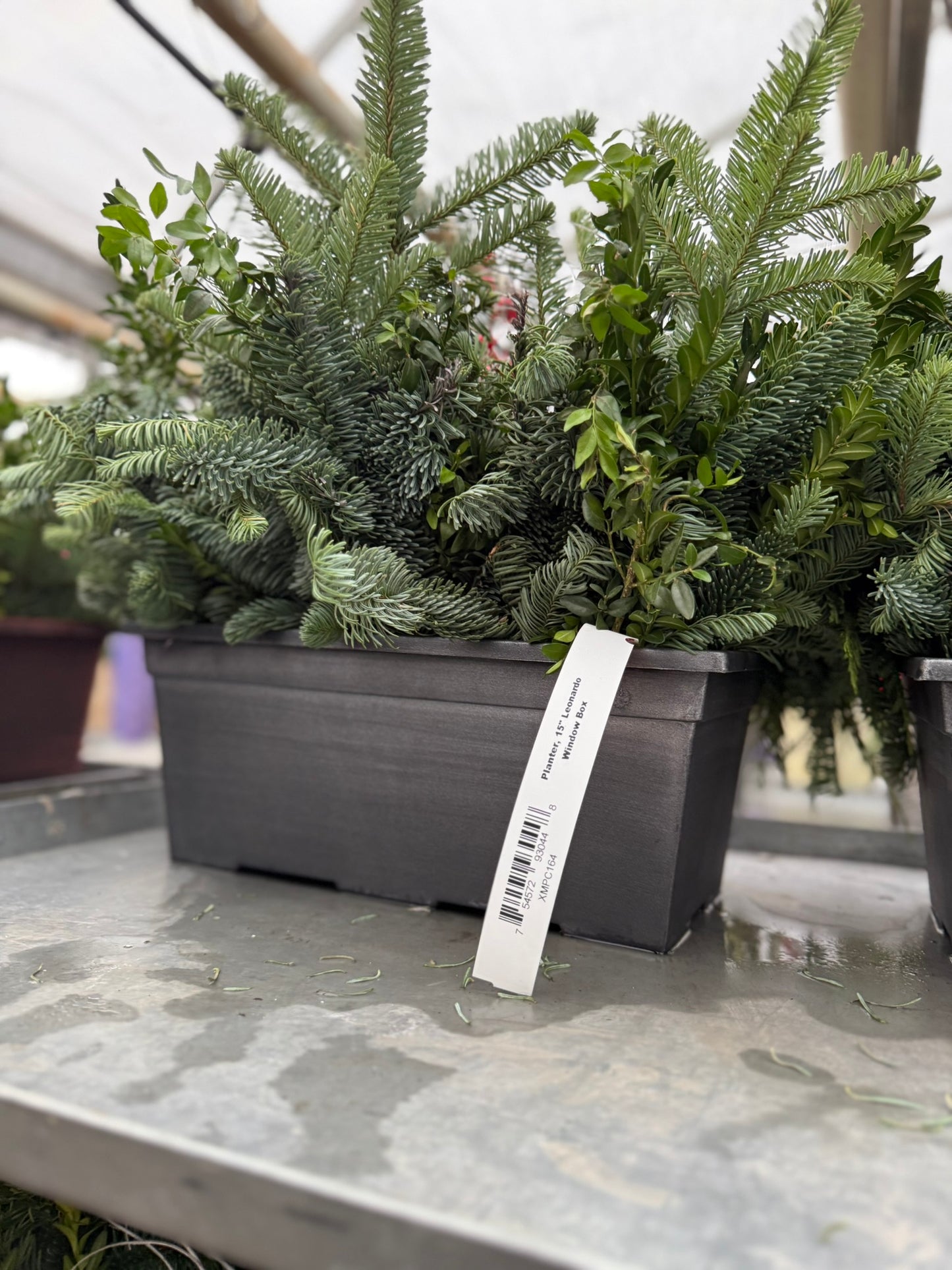 Planter, 15" Leonardo Window Box Window Box (Each)