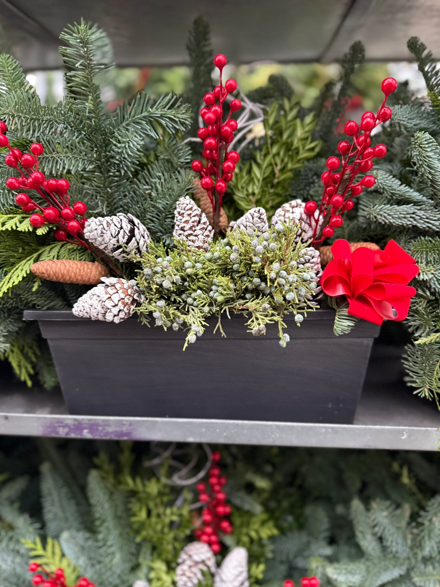 Planter, 15" Leonardo Window Box Window Box (Each)