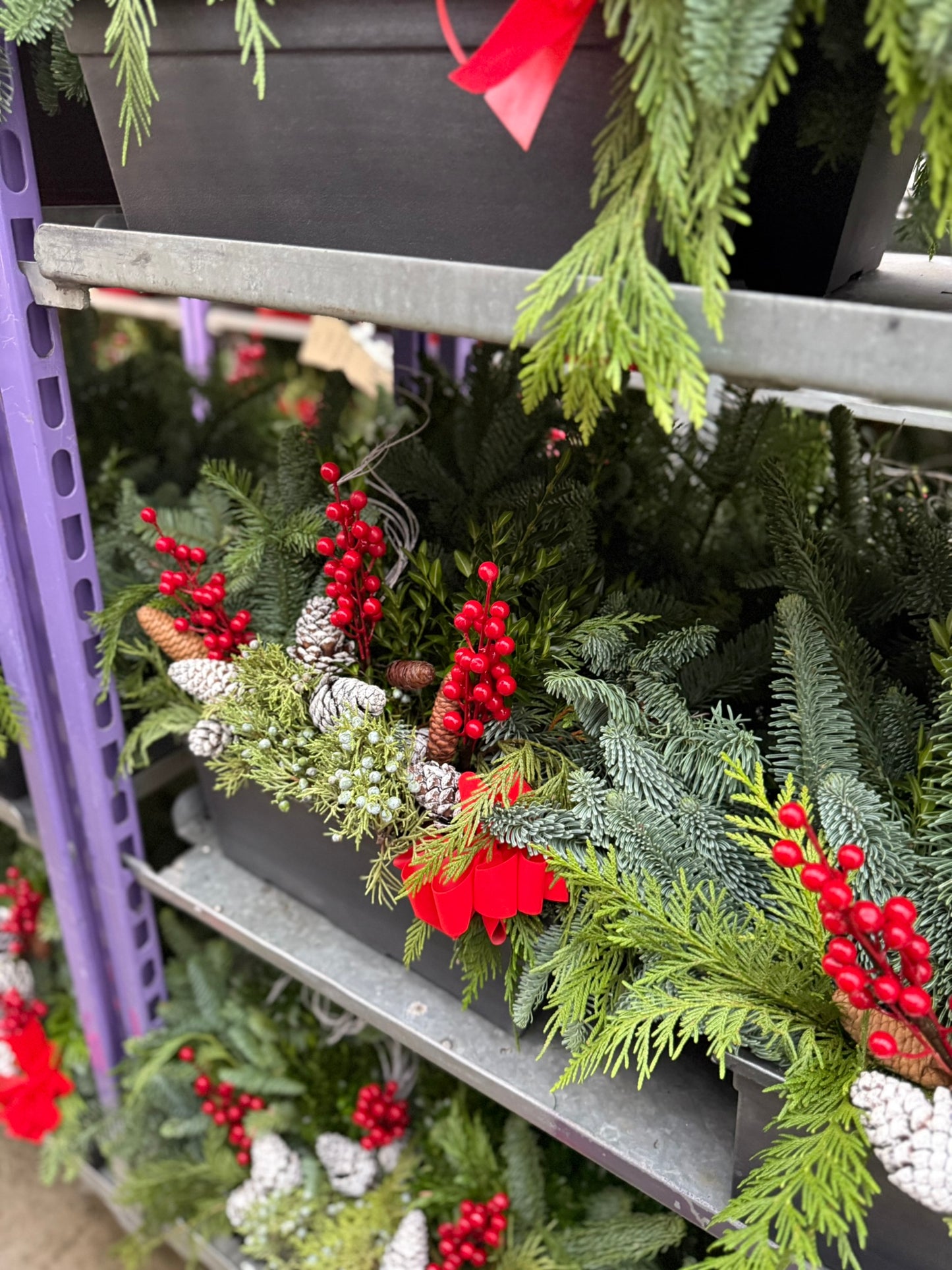 Planter, 15" Leonardo Window Box Window Box (Each)