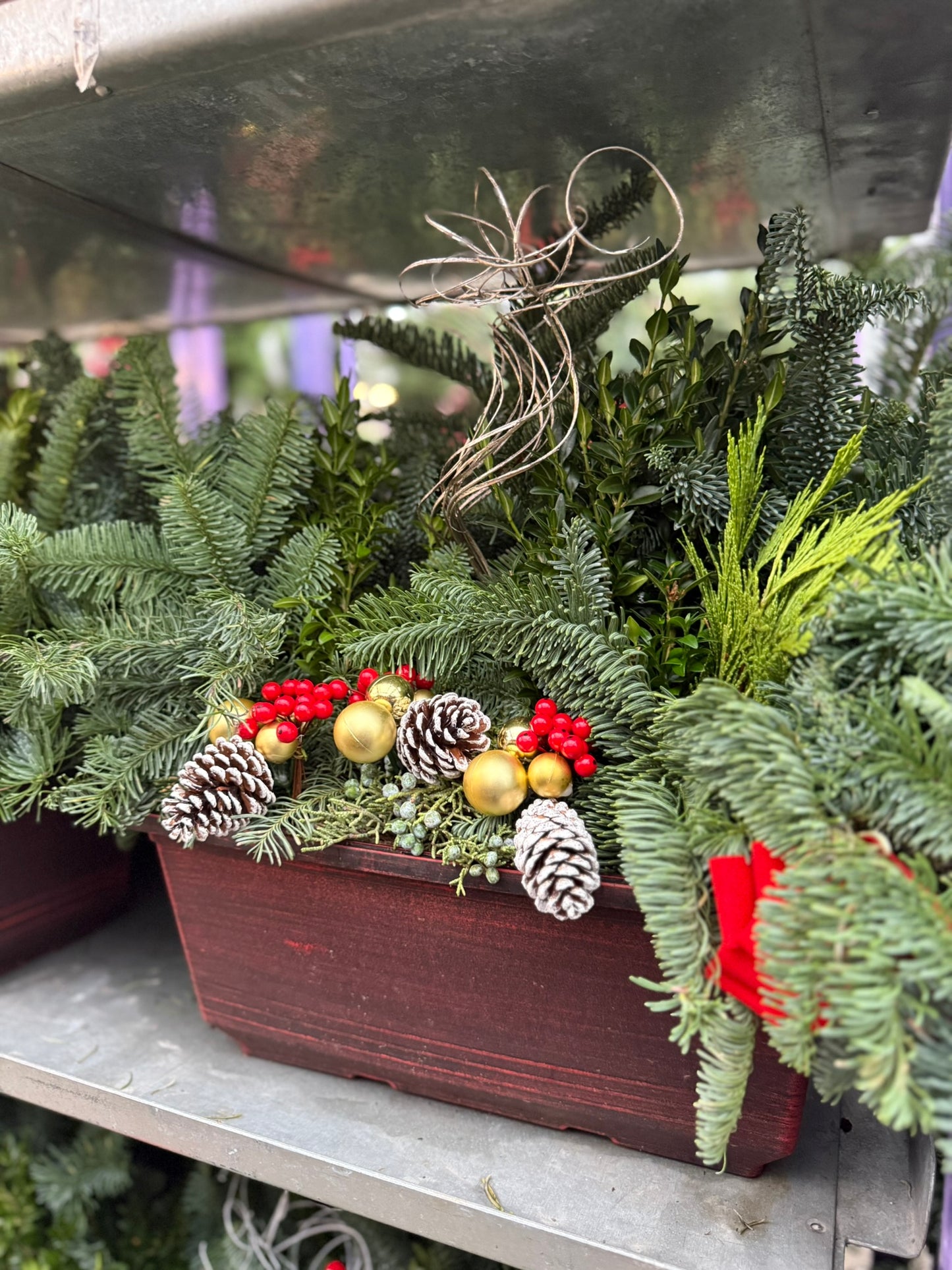 Planter, 15" Leonardo Window Box Window Box (Each)