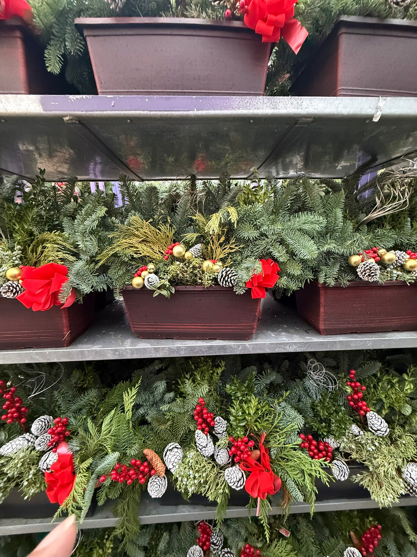 Planter, 15" Leonardo Window Box Window Box (Each)