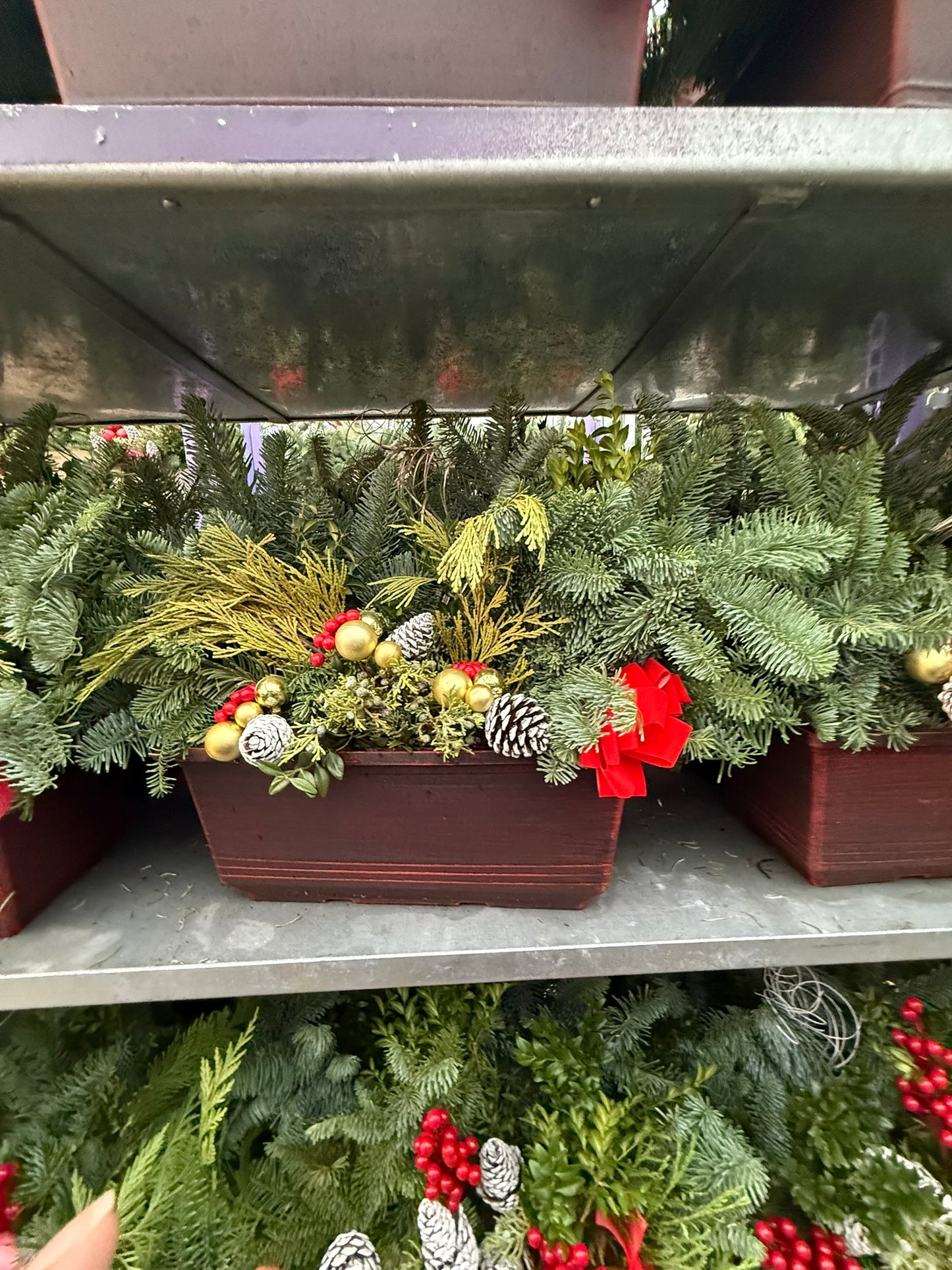 Planter, 15" Leonardo Window Box Window Box (Each)