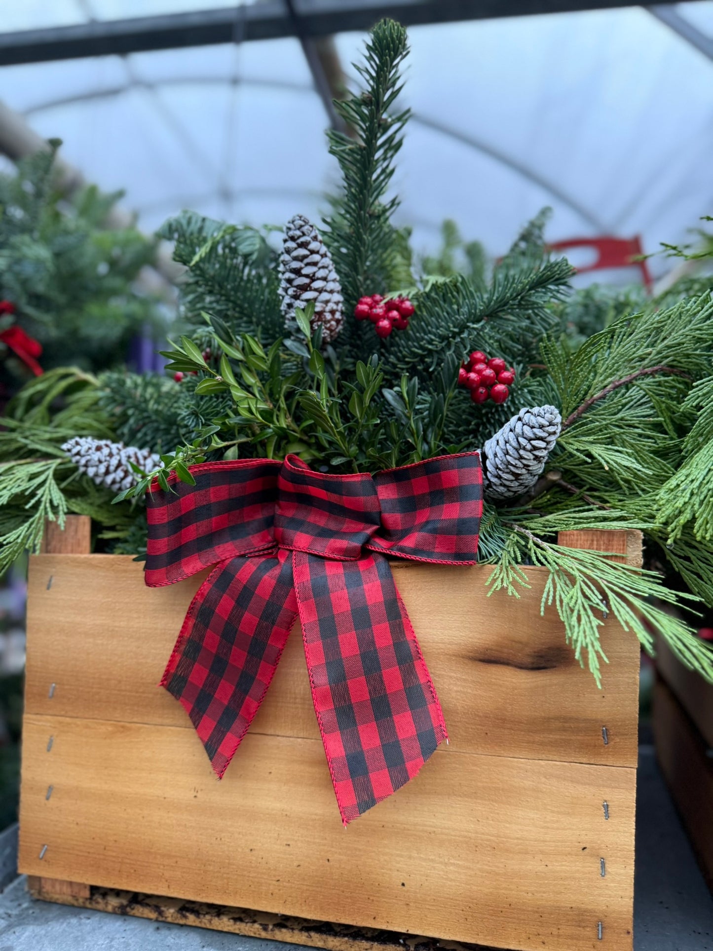 Planter, 14.5" Rustic Crate Planter (Each)