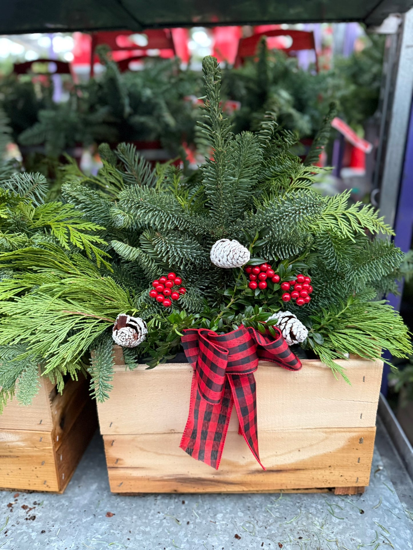 Planter, 14.5" Rustic Crate Planter (Each)