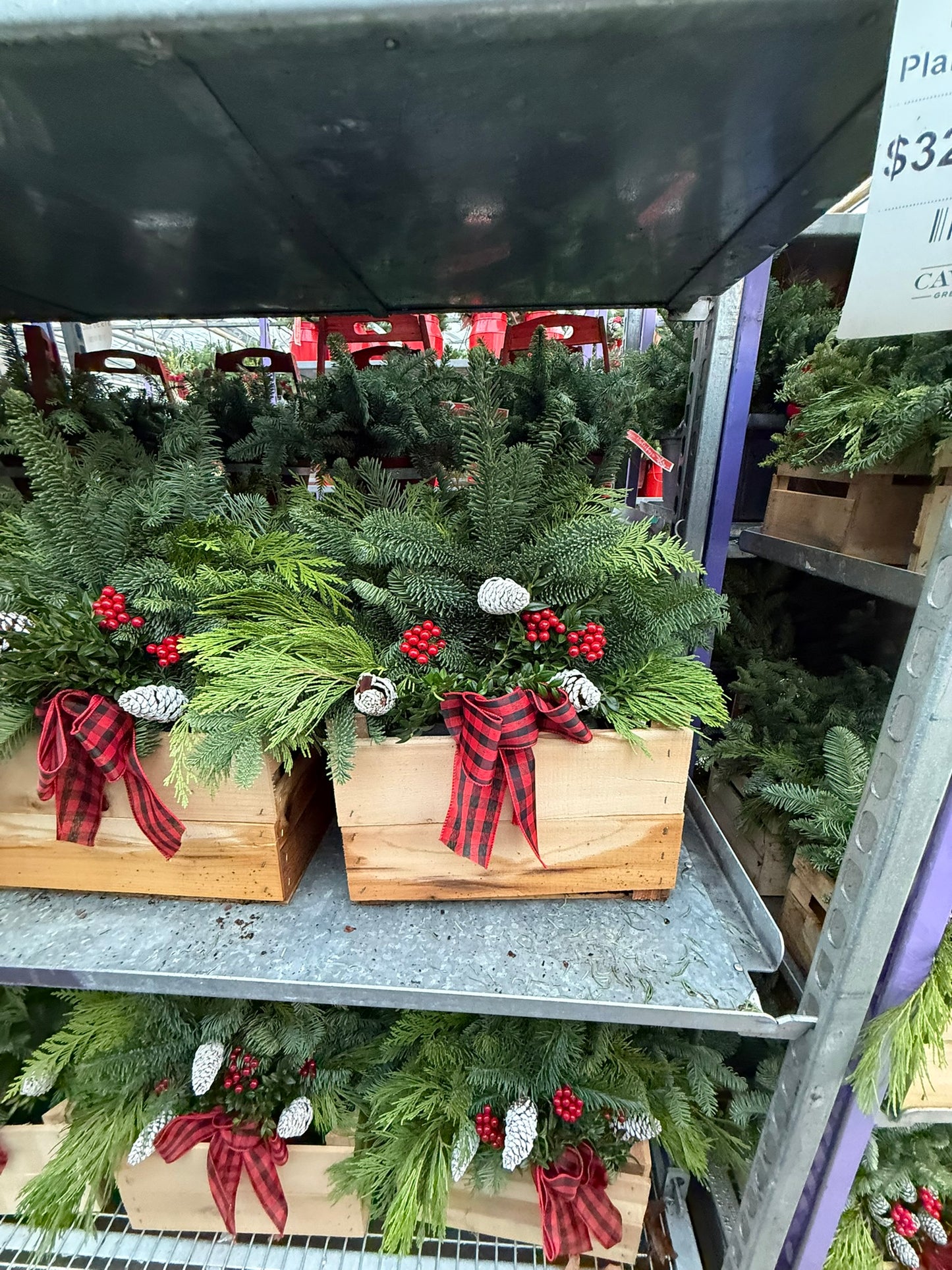 Planter, 14.5" Rustic Crate Planter (Each)