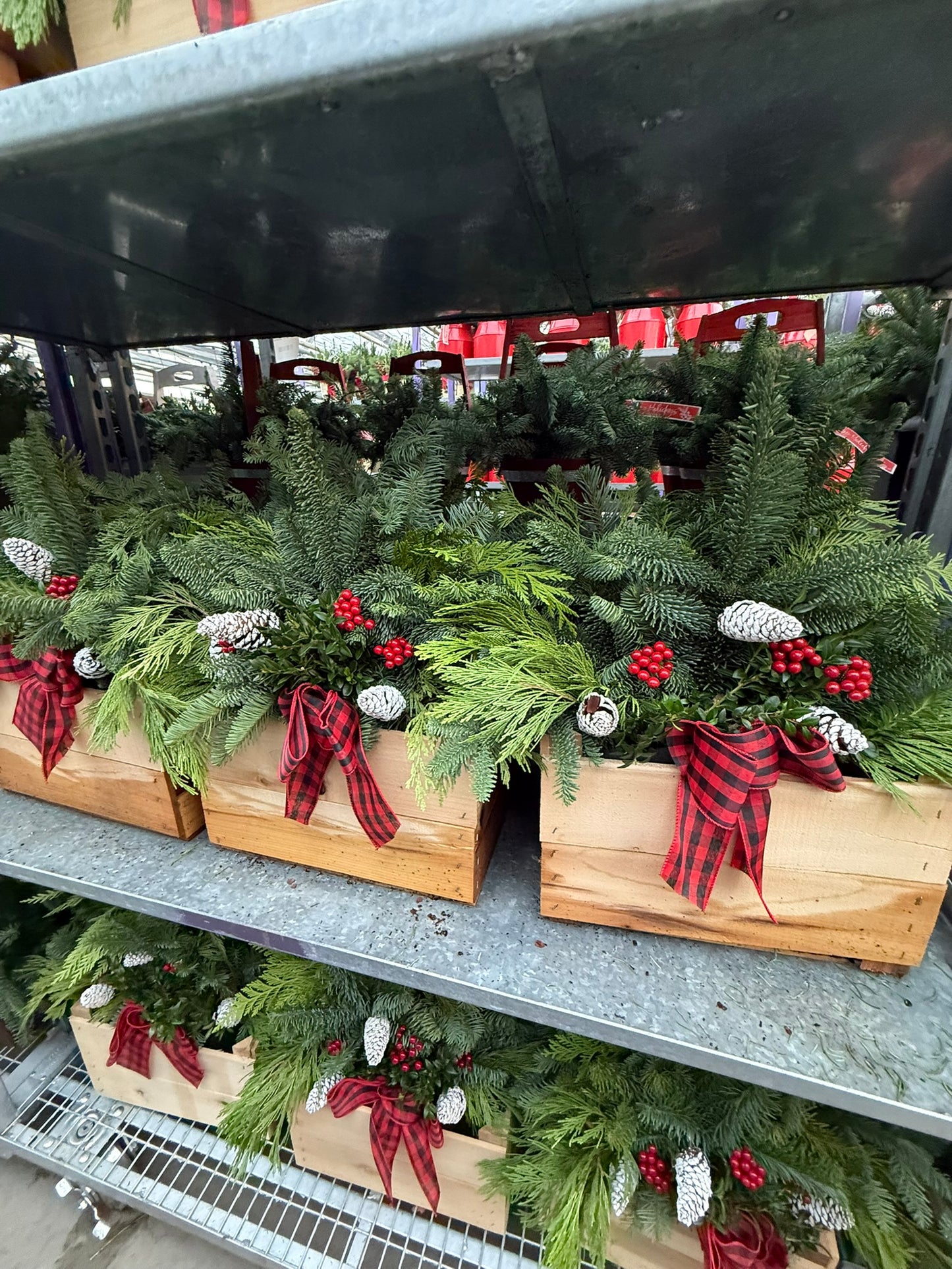 Planter, 14.5" Rustic Crate Planter (Each)