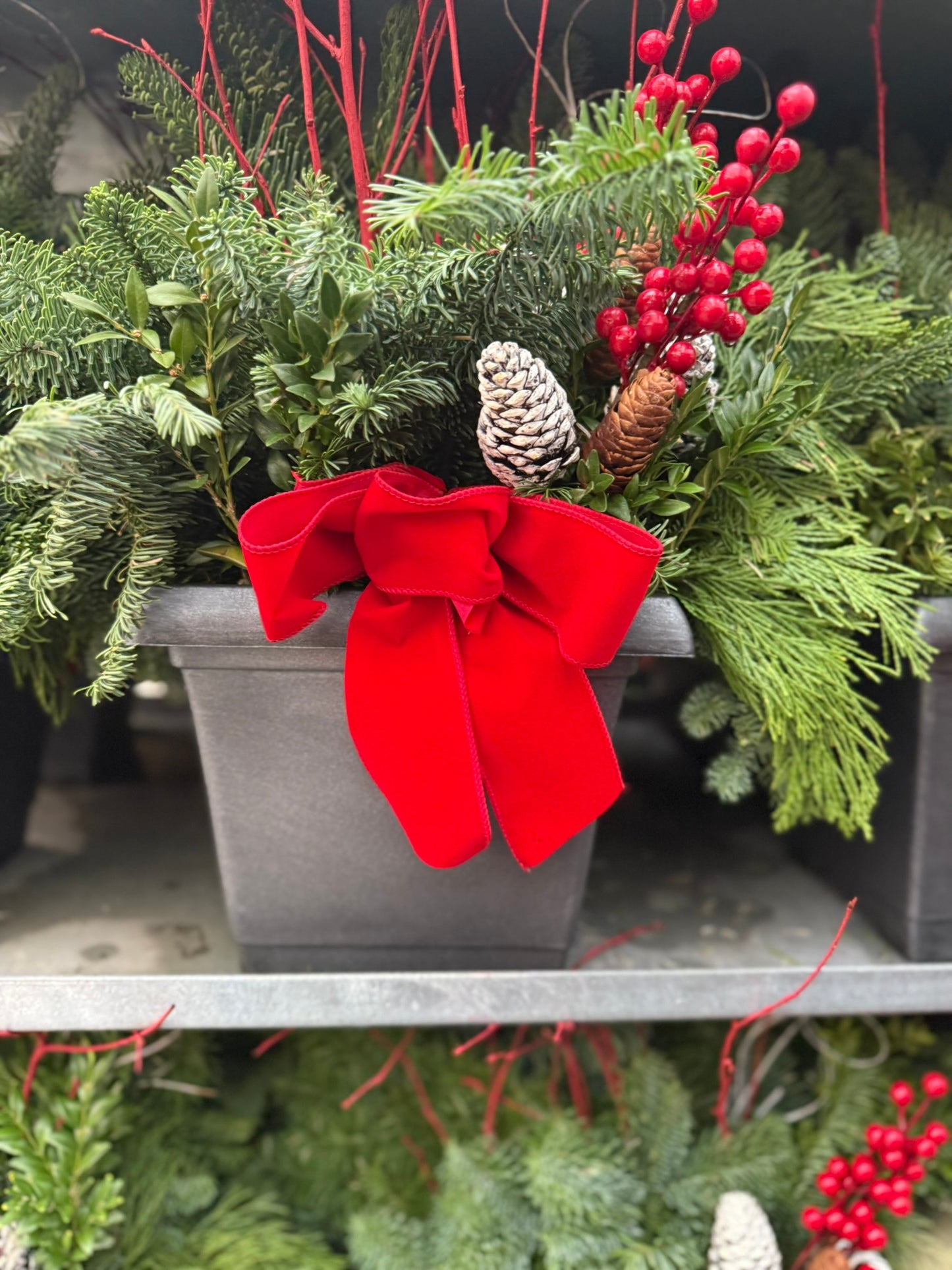 Planter, 10.25" Leonardo Square, Aged Pewter Planter (Each)