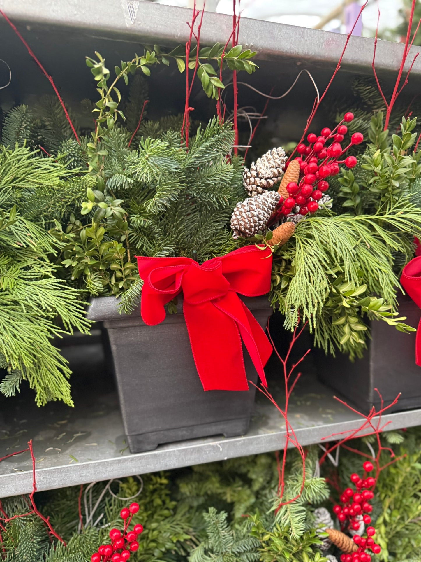 Planter, 10.25" Leonardo Square, Aged Pewter Planter (Each)