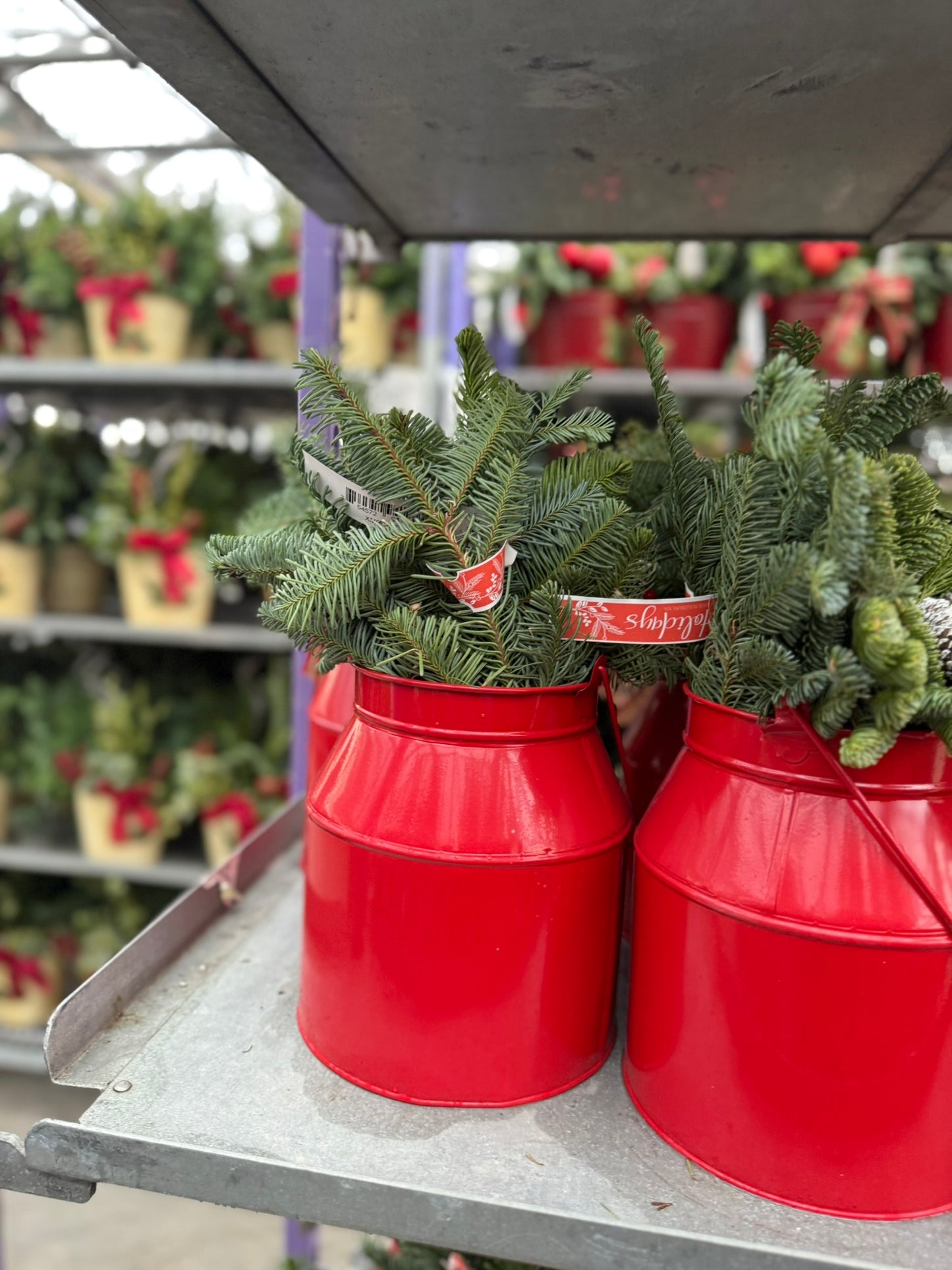 Planter, 9" Red Milk Can Planter (Each)