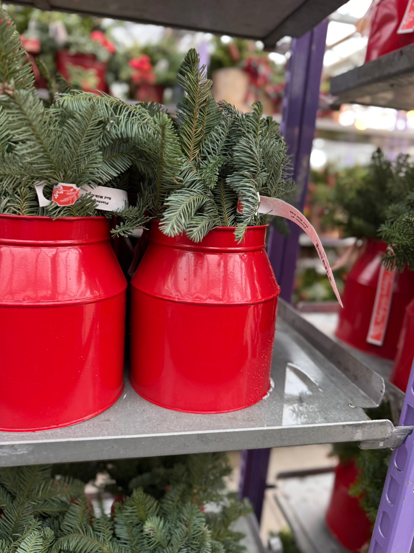 Planter, 9" Red Milk Can Planter (Each)