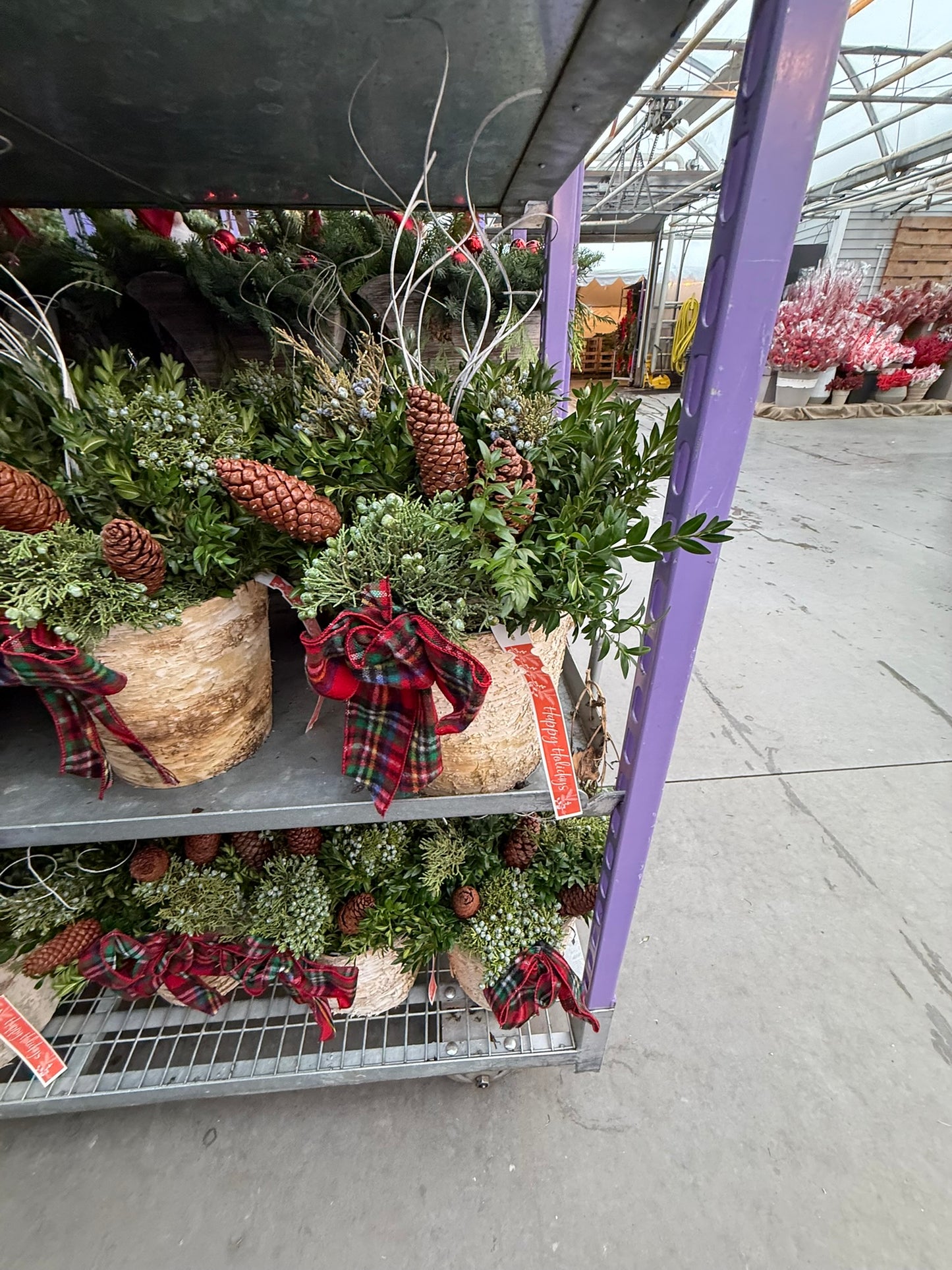 Planter, 8" Birch Accent Planter (Each)