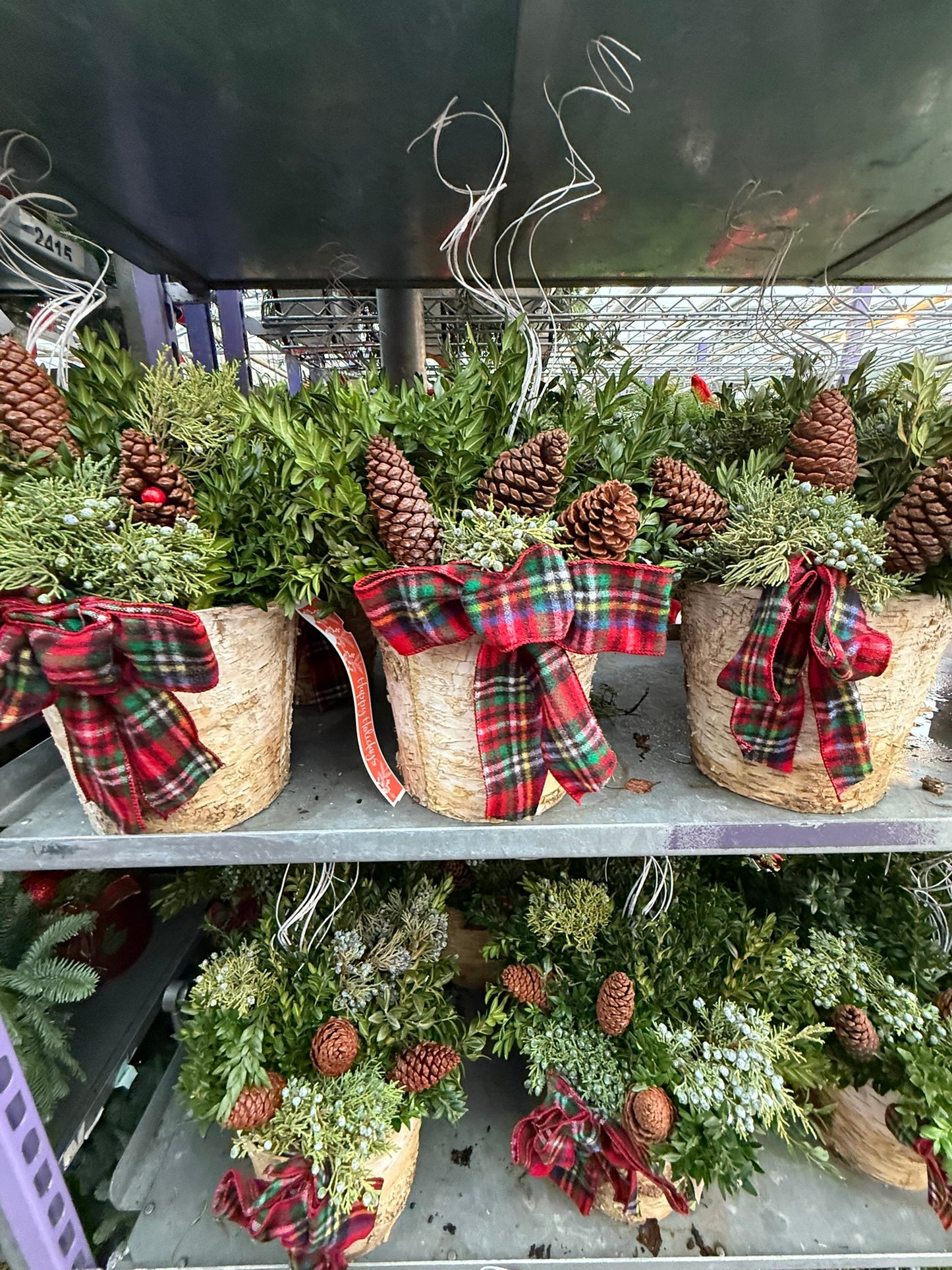 Planter, 8" Birch Accent Planter (Each)