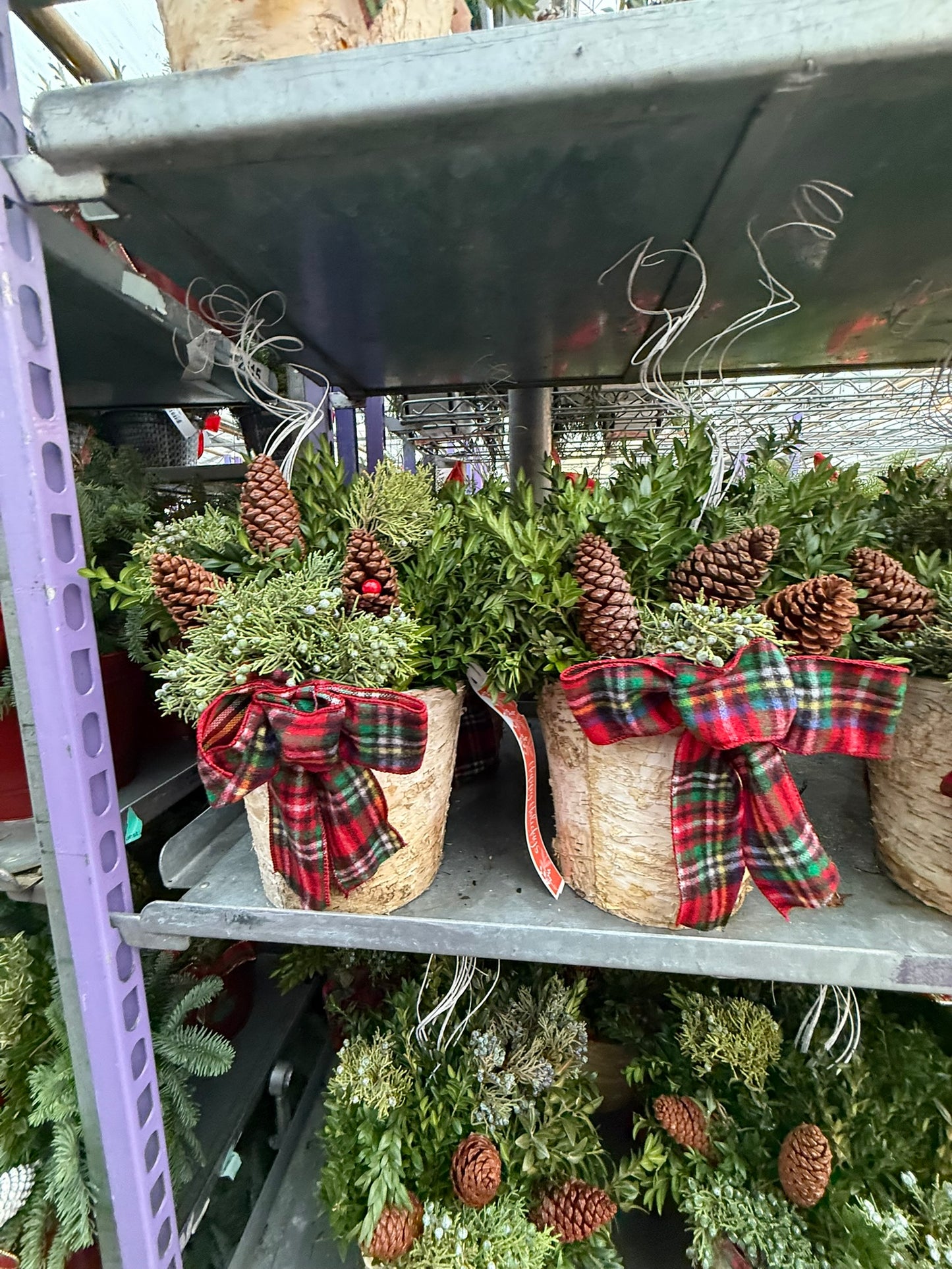 Planter, 8" Birch Accent Planter (Each)