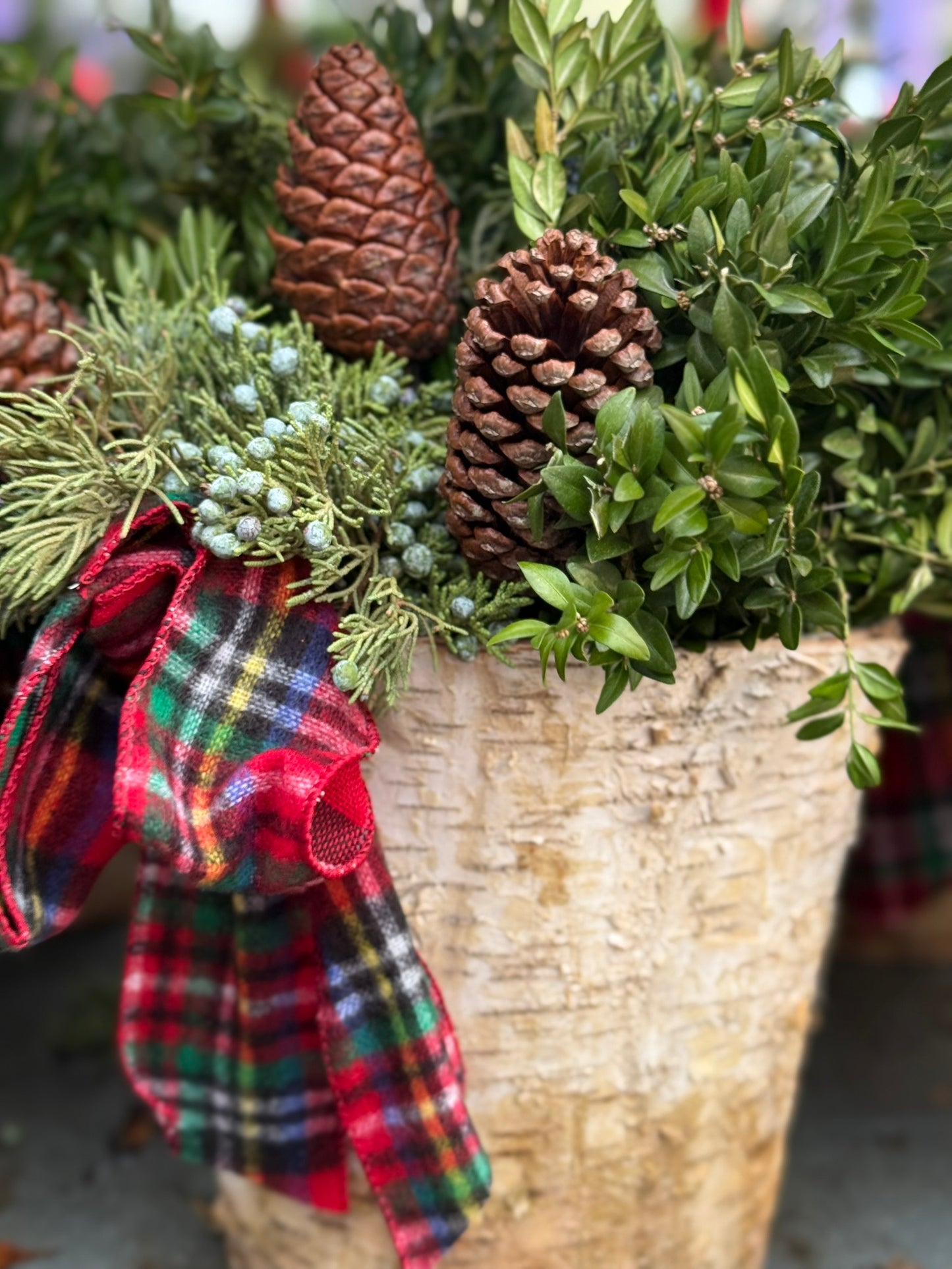 Planter, 8" Birch Accent Planter (Each)