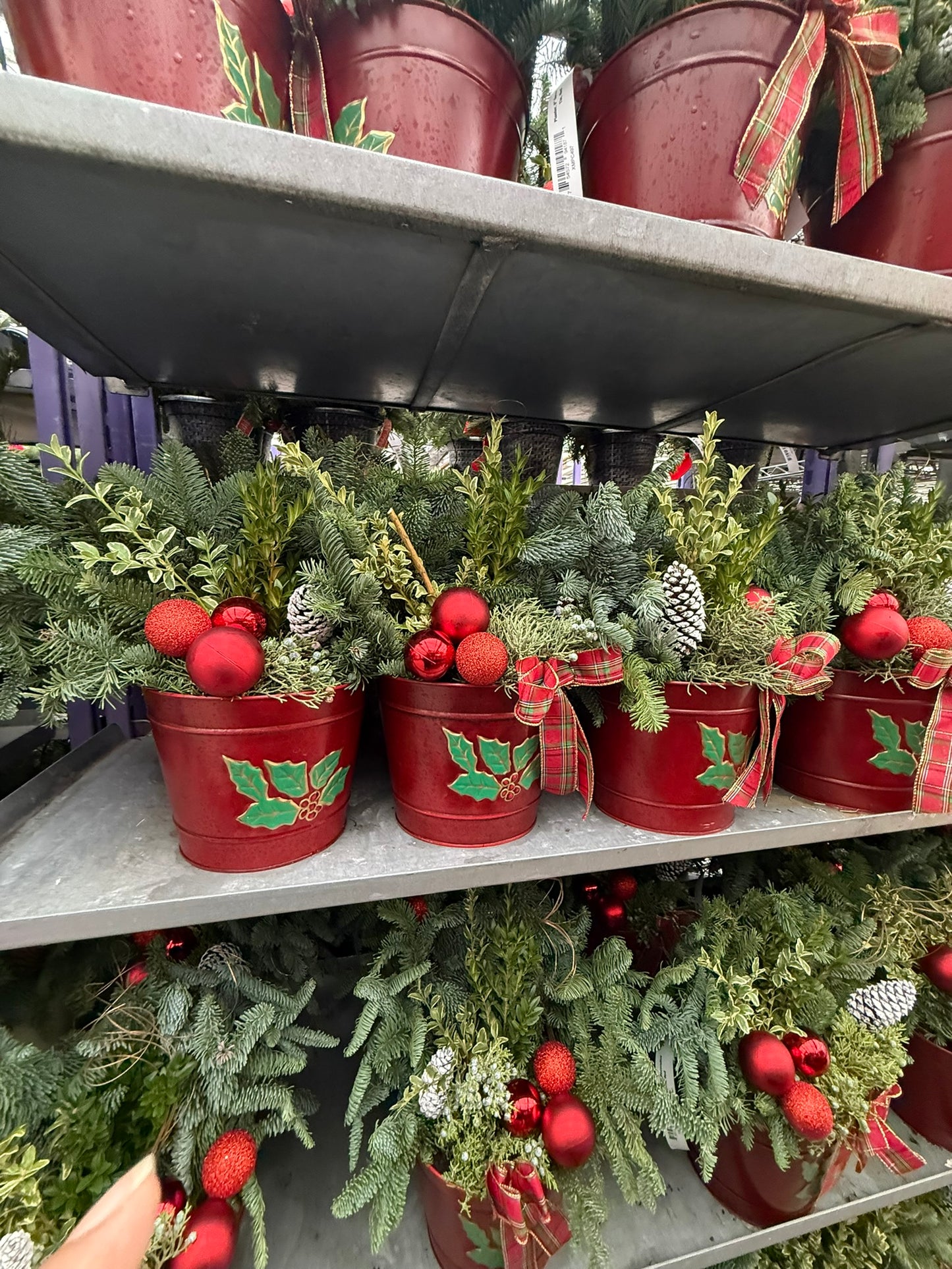 Planter, 8" Decorative Tin, Red Planter (Each)