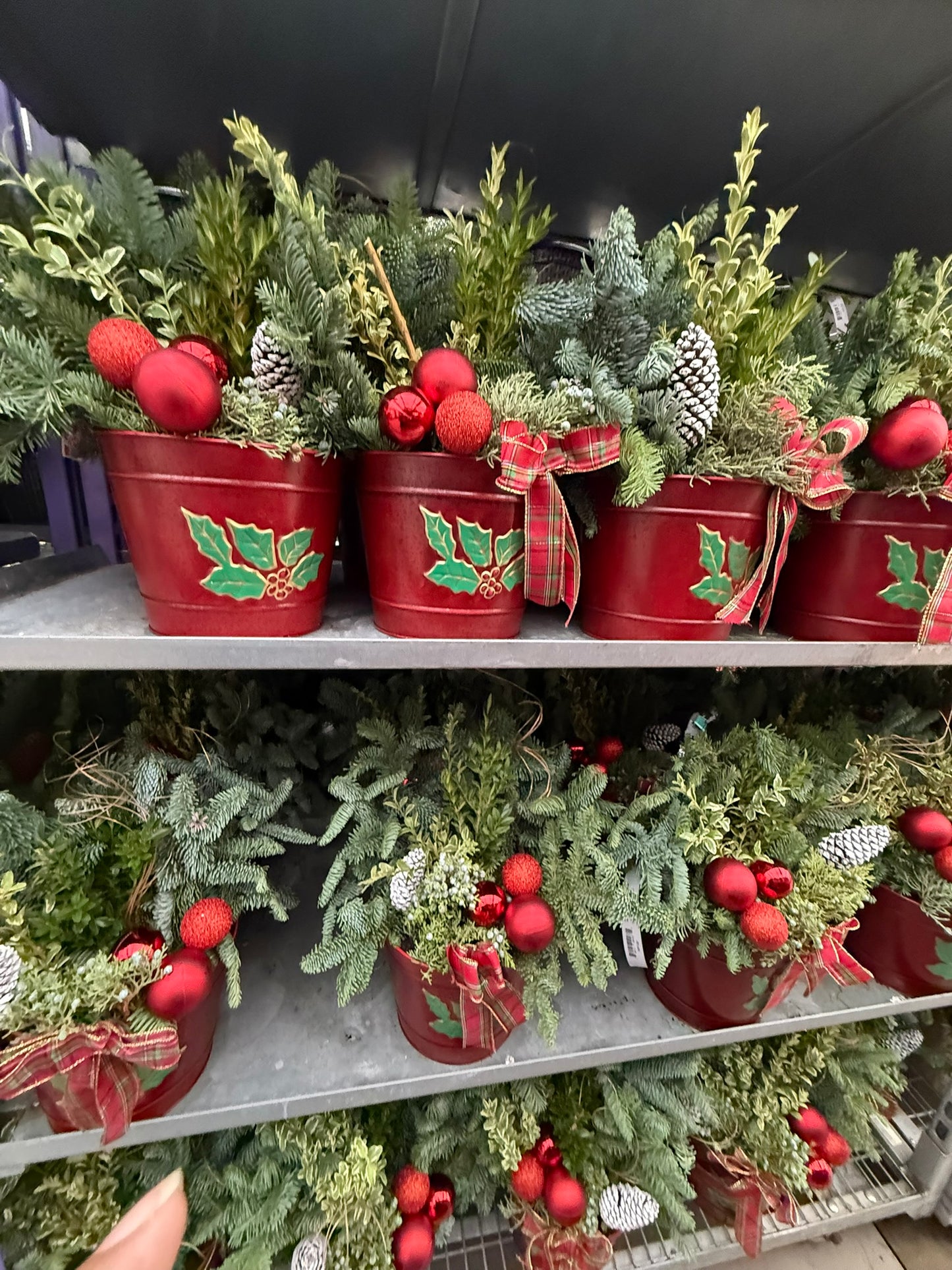 Planter, 8" Decorative Tin, Red Planter (Each)