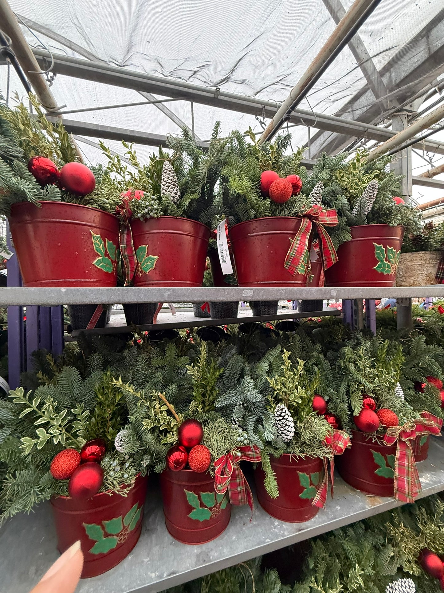 Planter, 8" Decorative Tin, Red Planter (Each)