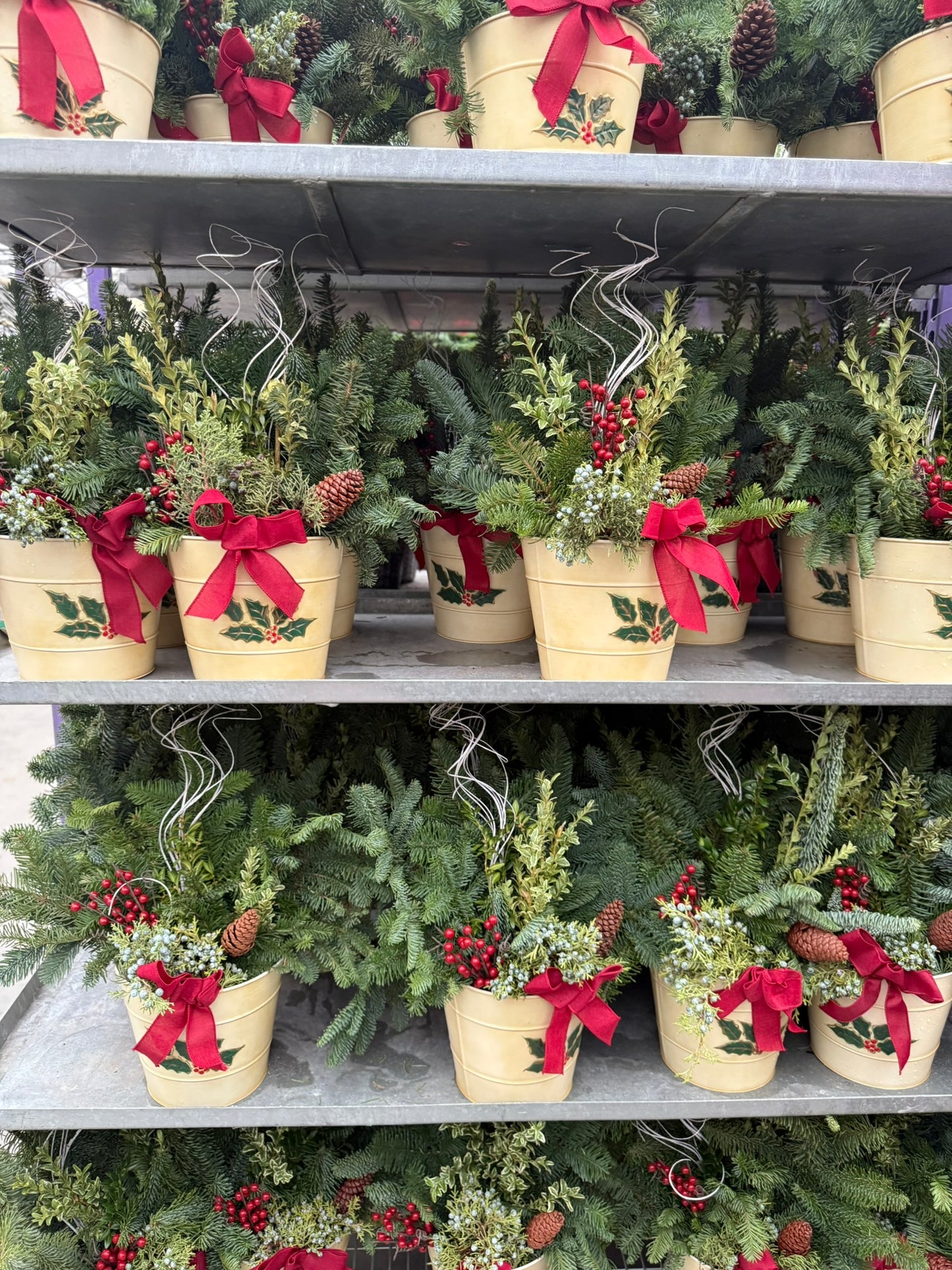 Planter, 8" Decorative Tin, Antique Cream Planter (Each)