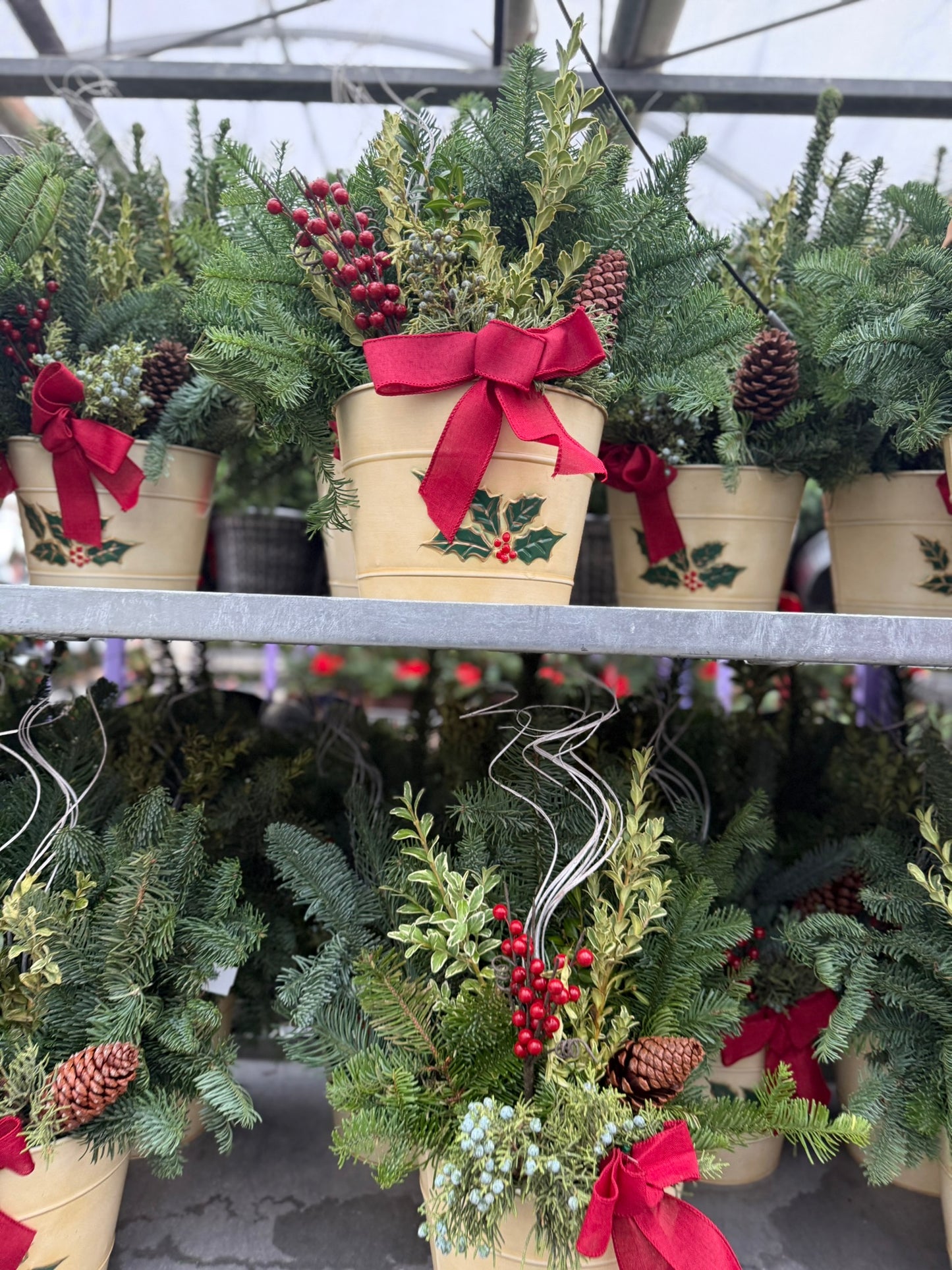 Planter, 8" Decorative Tin, Antique Cream Planter (Each)