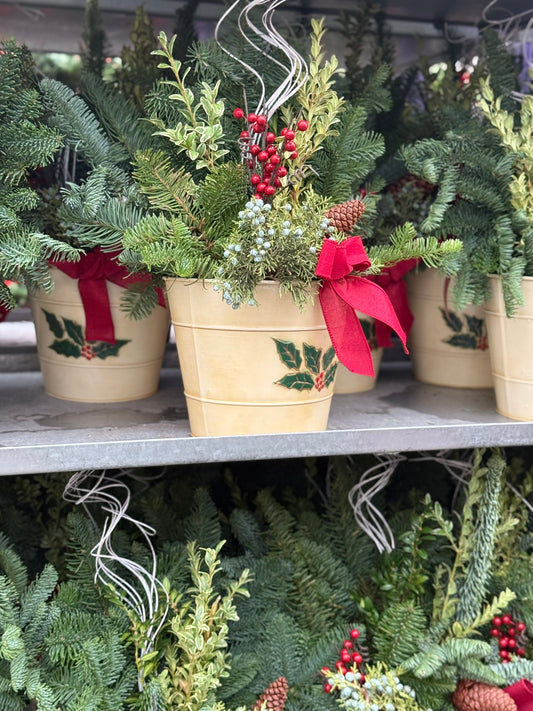 Planter, 8" Decorative Tin, Antique Cream Planter (Each)