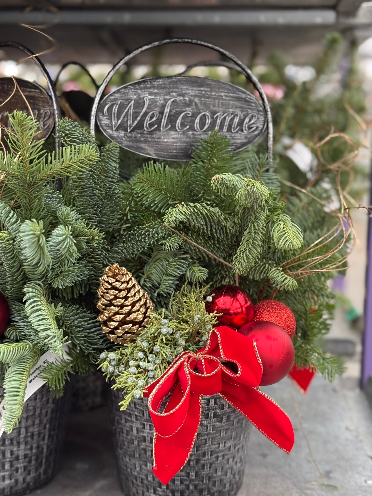 Planter, 8" Welcome Planter (Each)