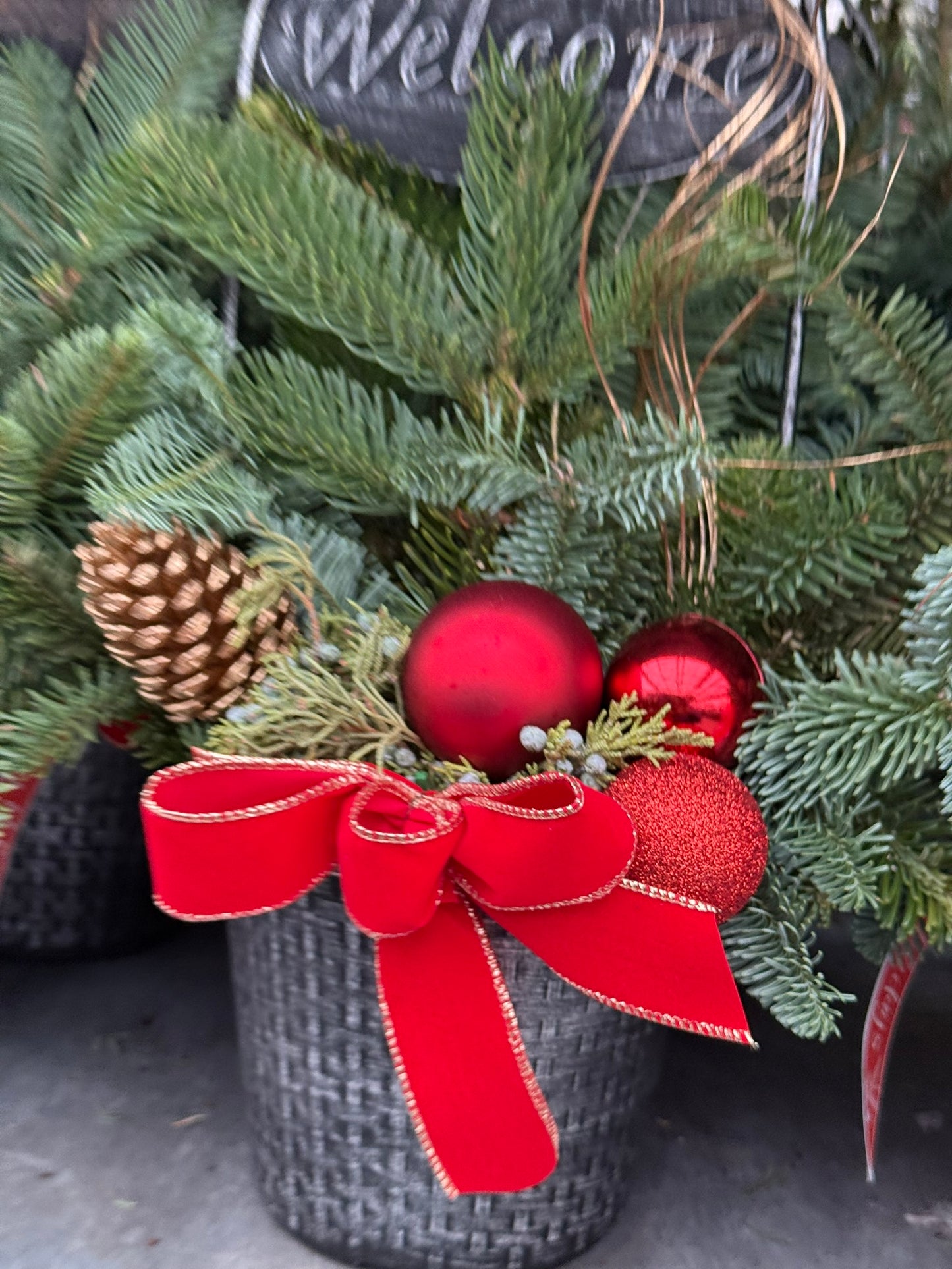 Planter, 8" Welcome Planter (Each)