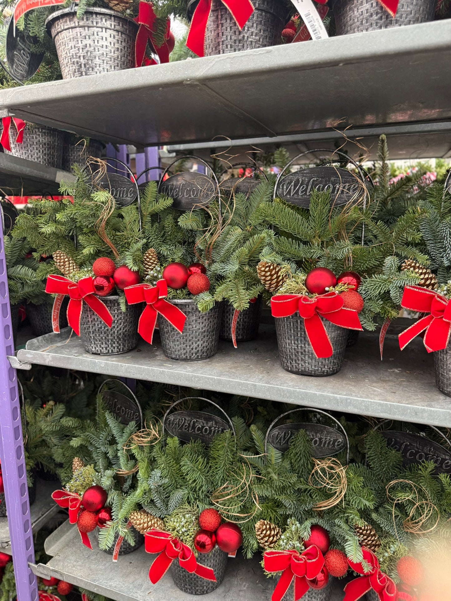 Planter, 8" Welcome Planter (Each)