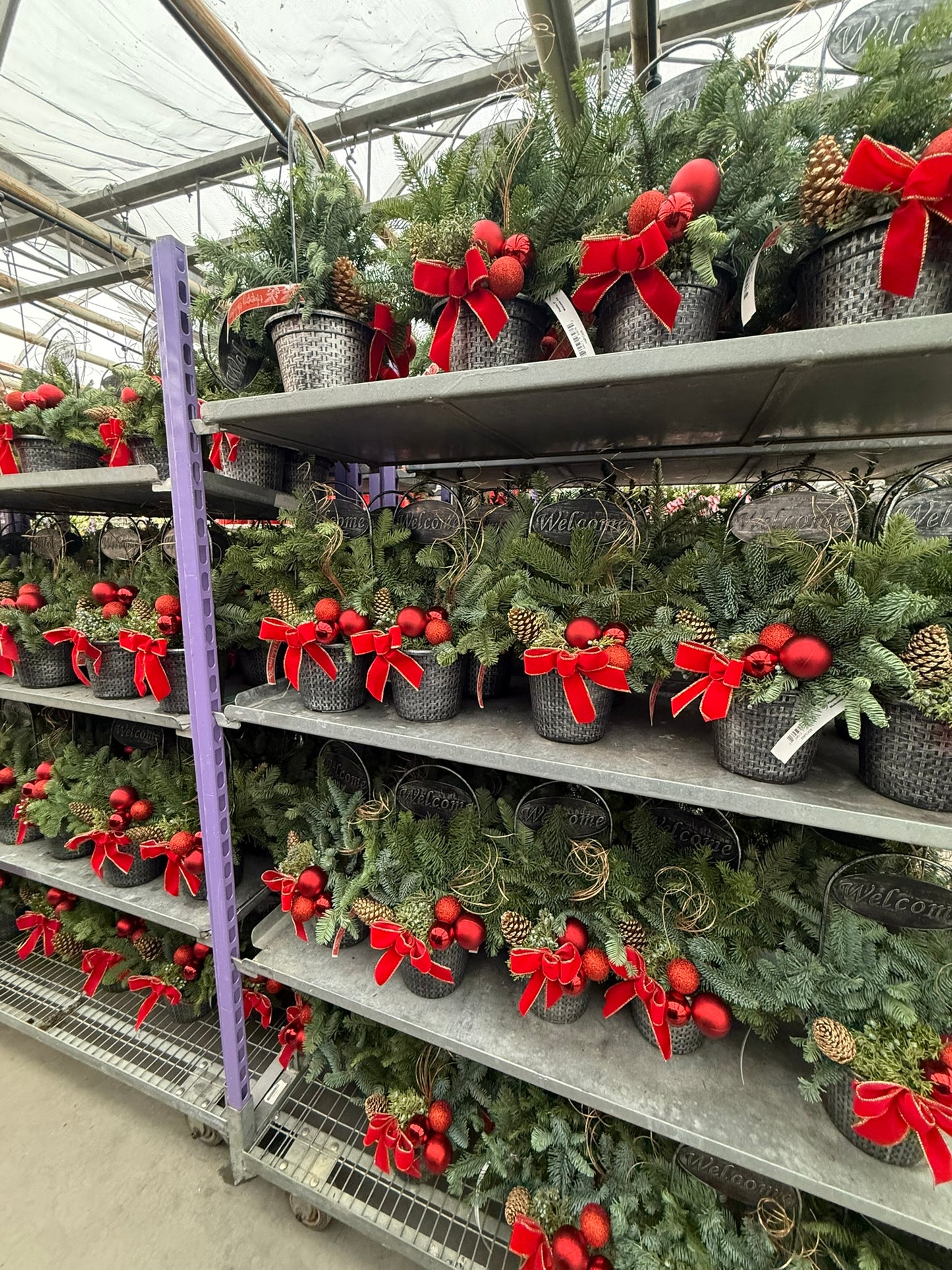 Planter, 8" Welcome Planter (Each)