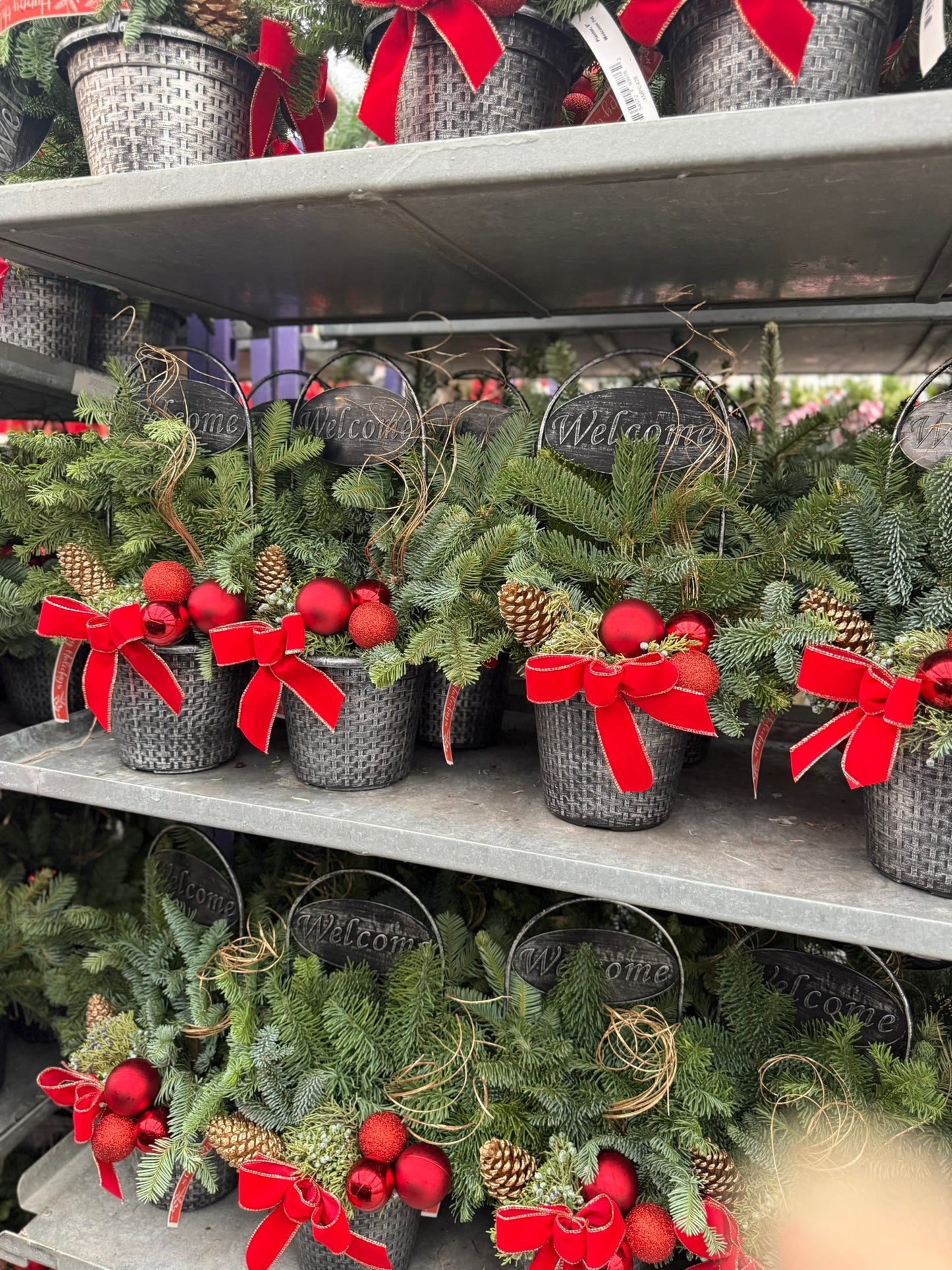 Planter, 8" Welcome Planter (Each)