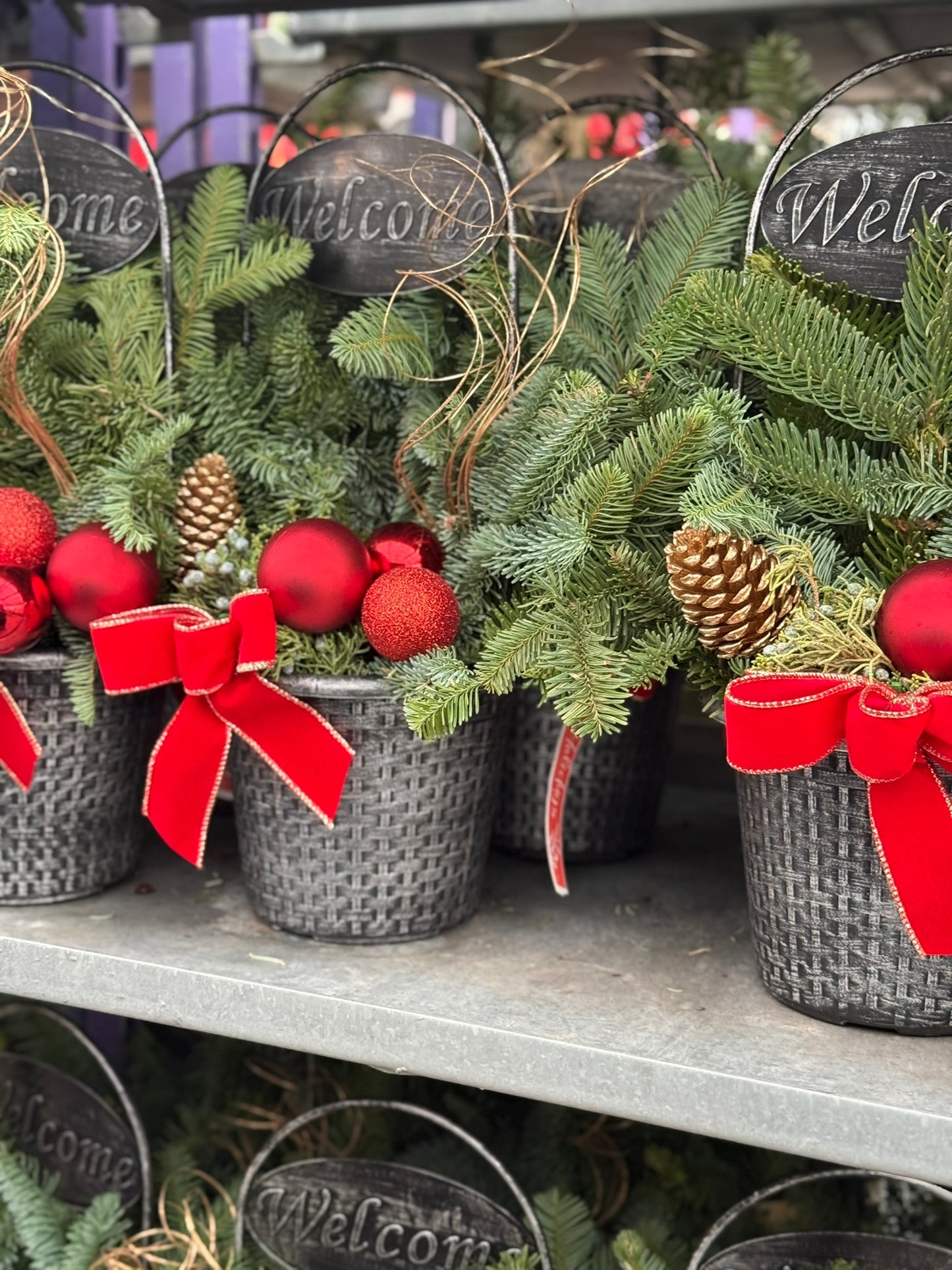 Planter, 8" Welcome Planter (Each)